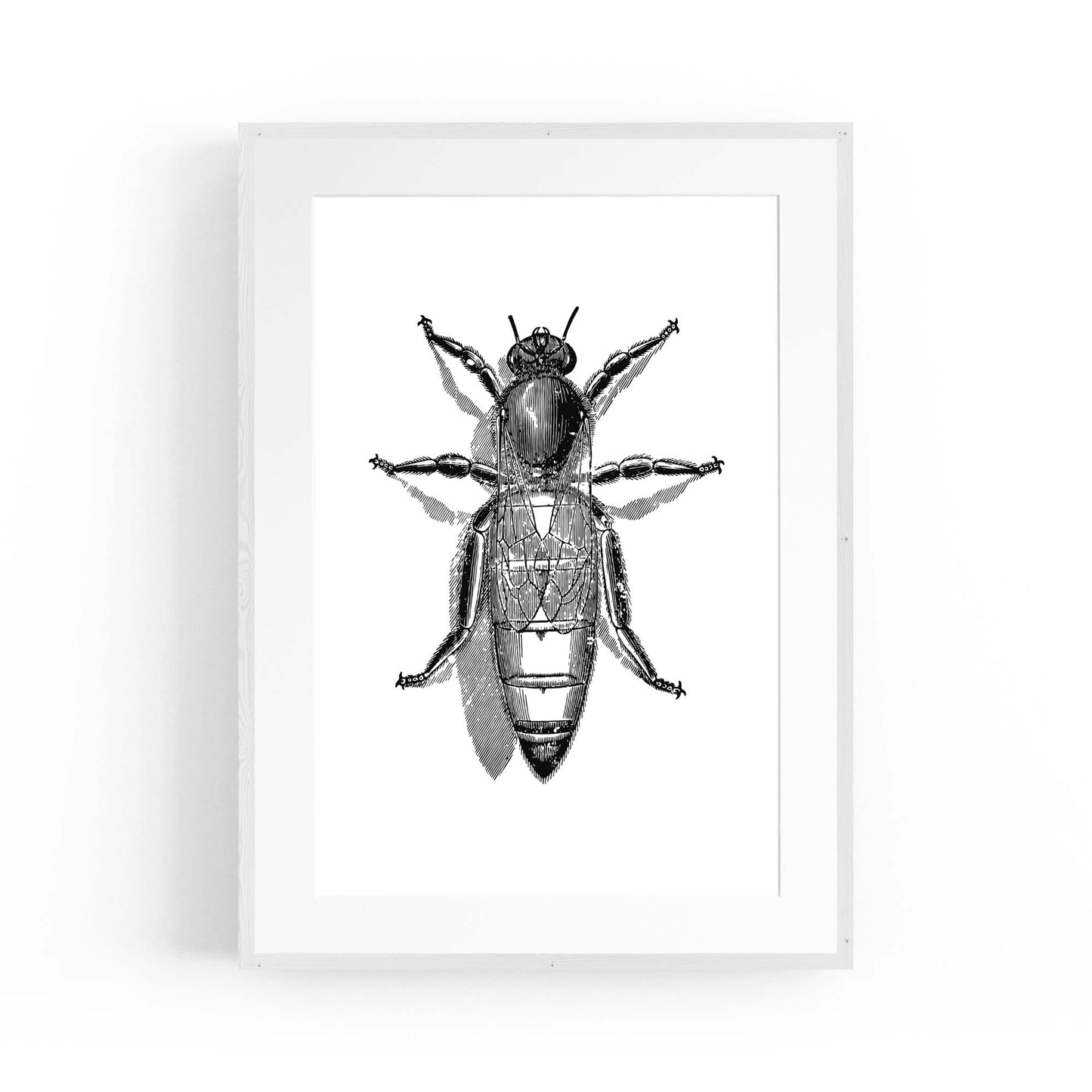 Queen Bee Drawing Insect Honey Wall Art - The Affordable Art Company