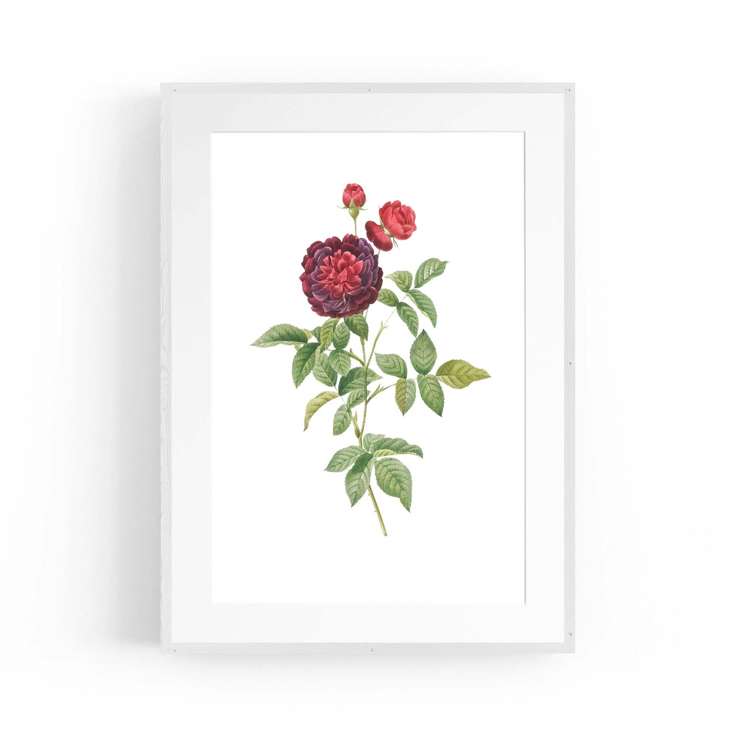 Flower Botanical Painting Kitchen Hallway Wall Art #30 - The Affordable Art Company