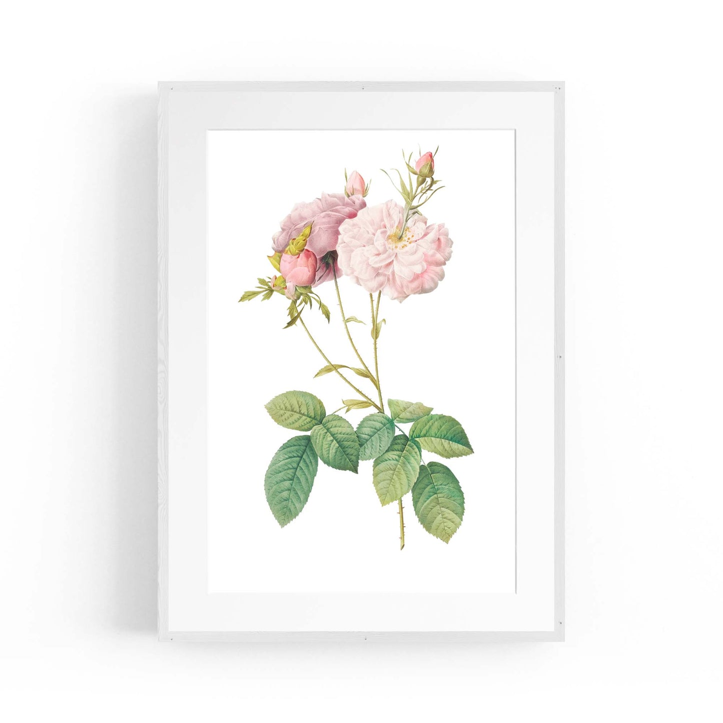 Flower Botanical Painting Kitchen Hallway Wall Art #42 - The Affordable Art Company