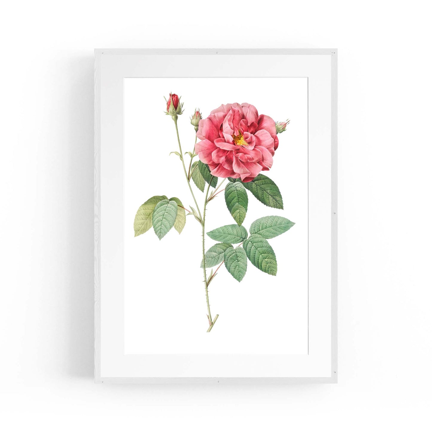 Flower Botanical Painting Kitchen Hallway Wall Art #17 - The Affordable Art Company