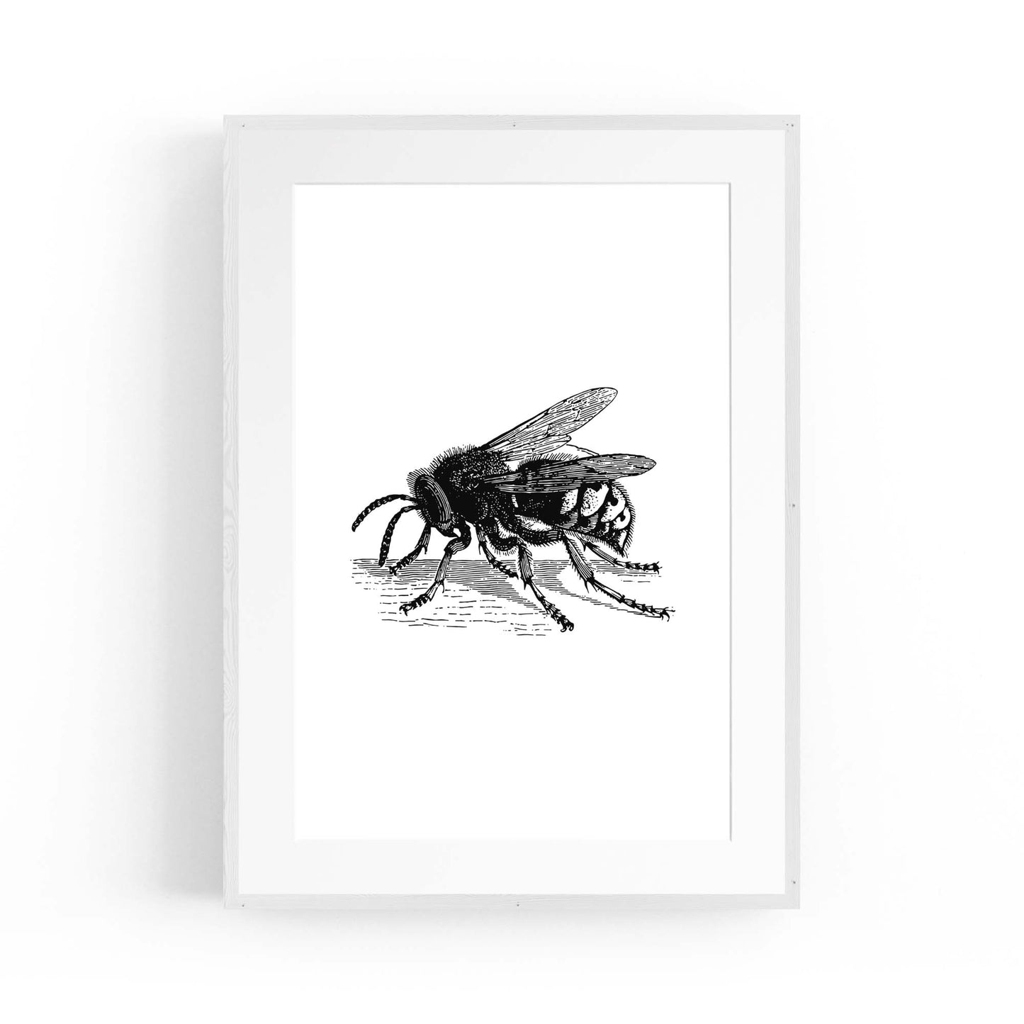 Hornet Drawing Insect Wall Art - The Affordable Art Company