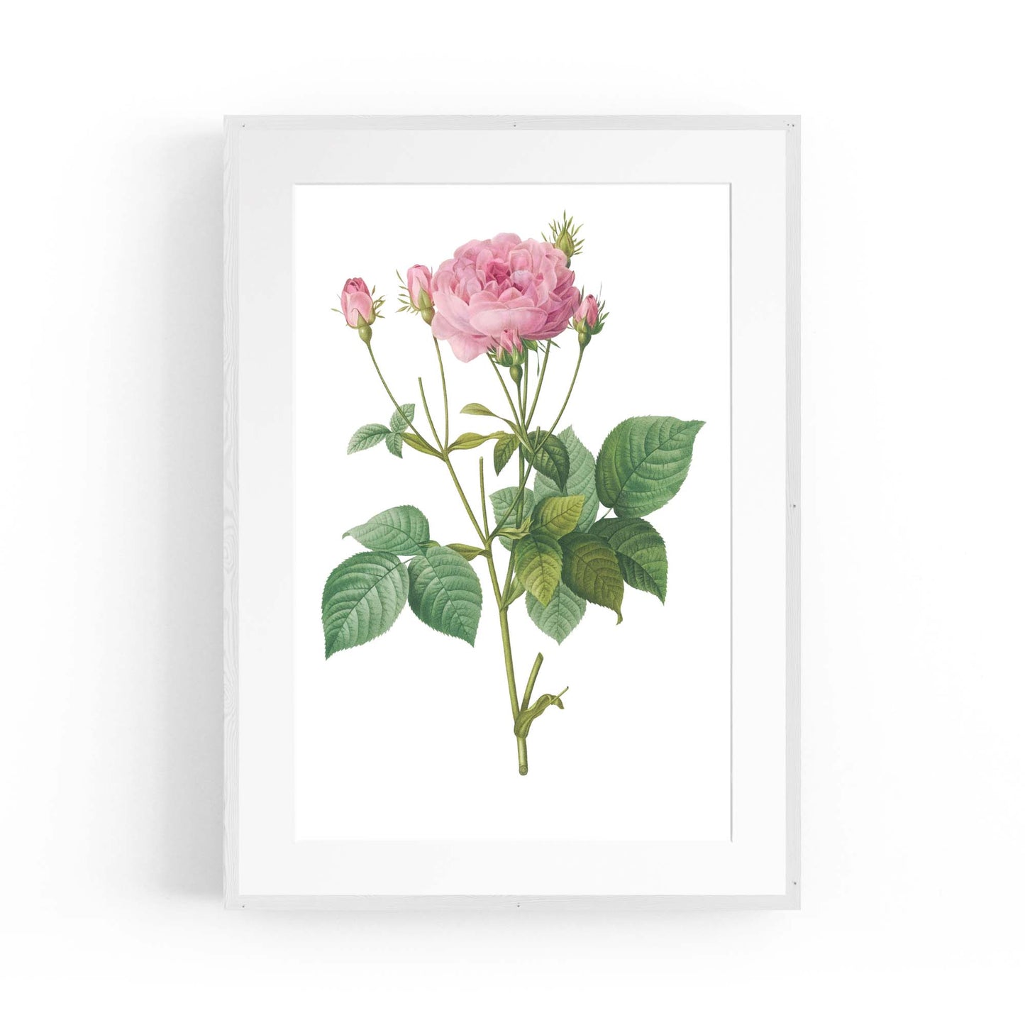 Flower Botanical Painting Kitchen Hallway Wall Art #18 - The Affordable Art Company