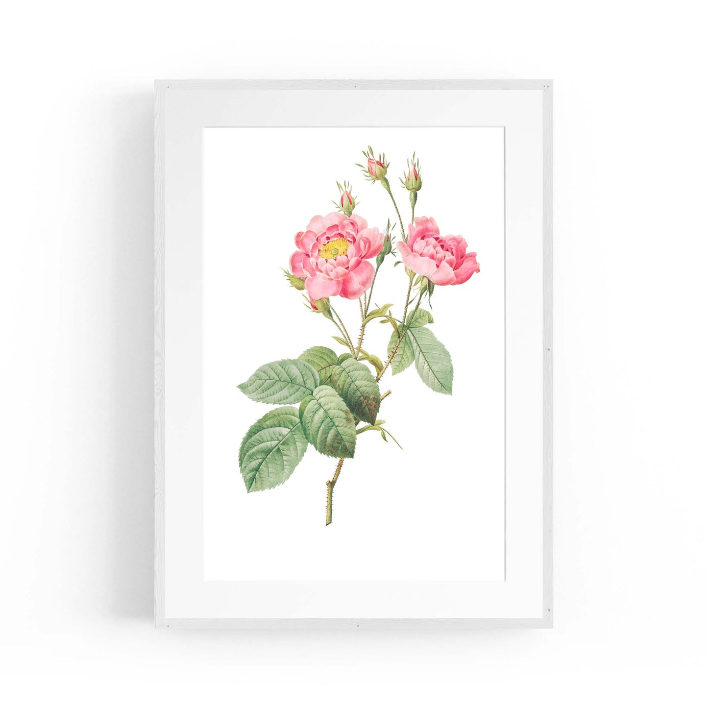 Flower Botanical Painting Kitchen Hallway Wall Art #12 - The Affordable Art Company