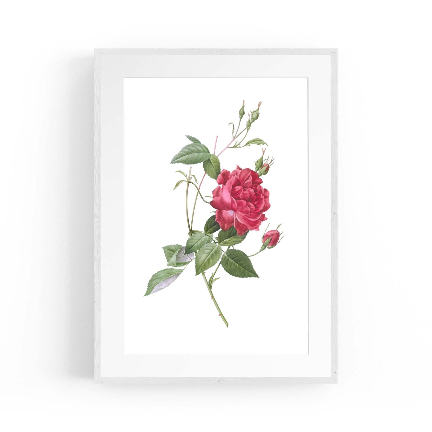 Flower Botanical Painting Kitchen Hallway Wall Art #31 - The Affordable Art Company