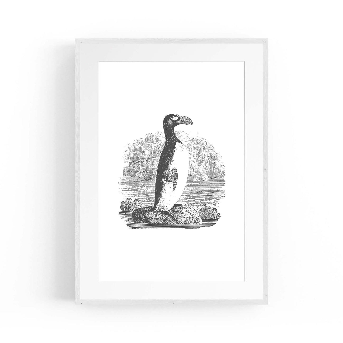 Penguin Drawing Animal Office Library Wall Art #2 - The Affordable Art Company