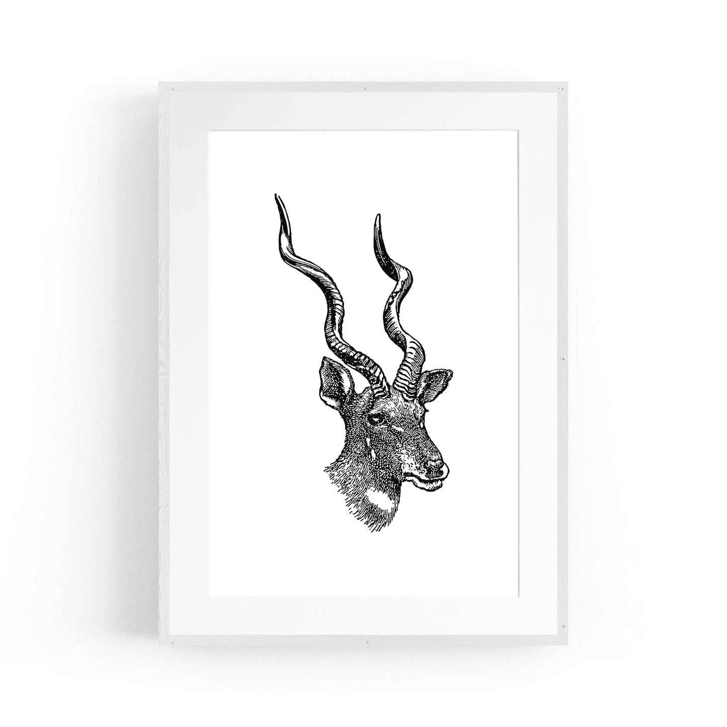 Kudu Detailed Drawing African Safari Wall Art - The Affordable Art Company