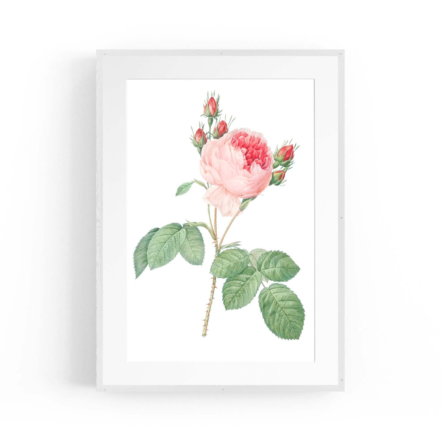 Flower Botanical Painting Kitchen Hallway Wall Art #36 - The Affordable Art Company