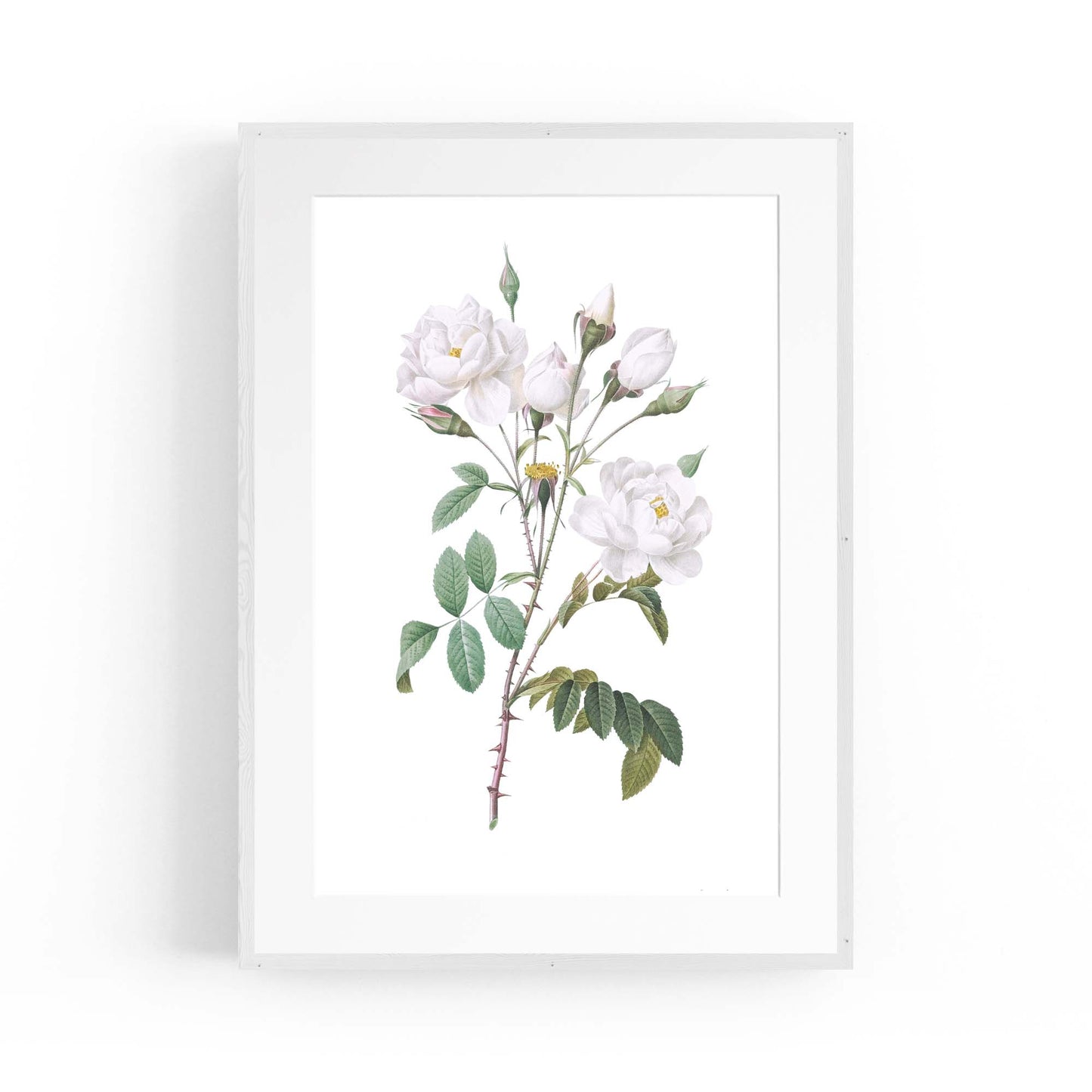 Flower Botanical Painting Kitchen Hallway Wall Art #15 - The Affordable Art Company