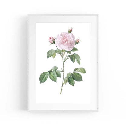 Flower Botanical Painting Kitchen Hallway Wall Art #11 - The Affordable Art Company