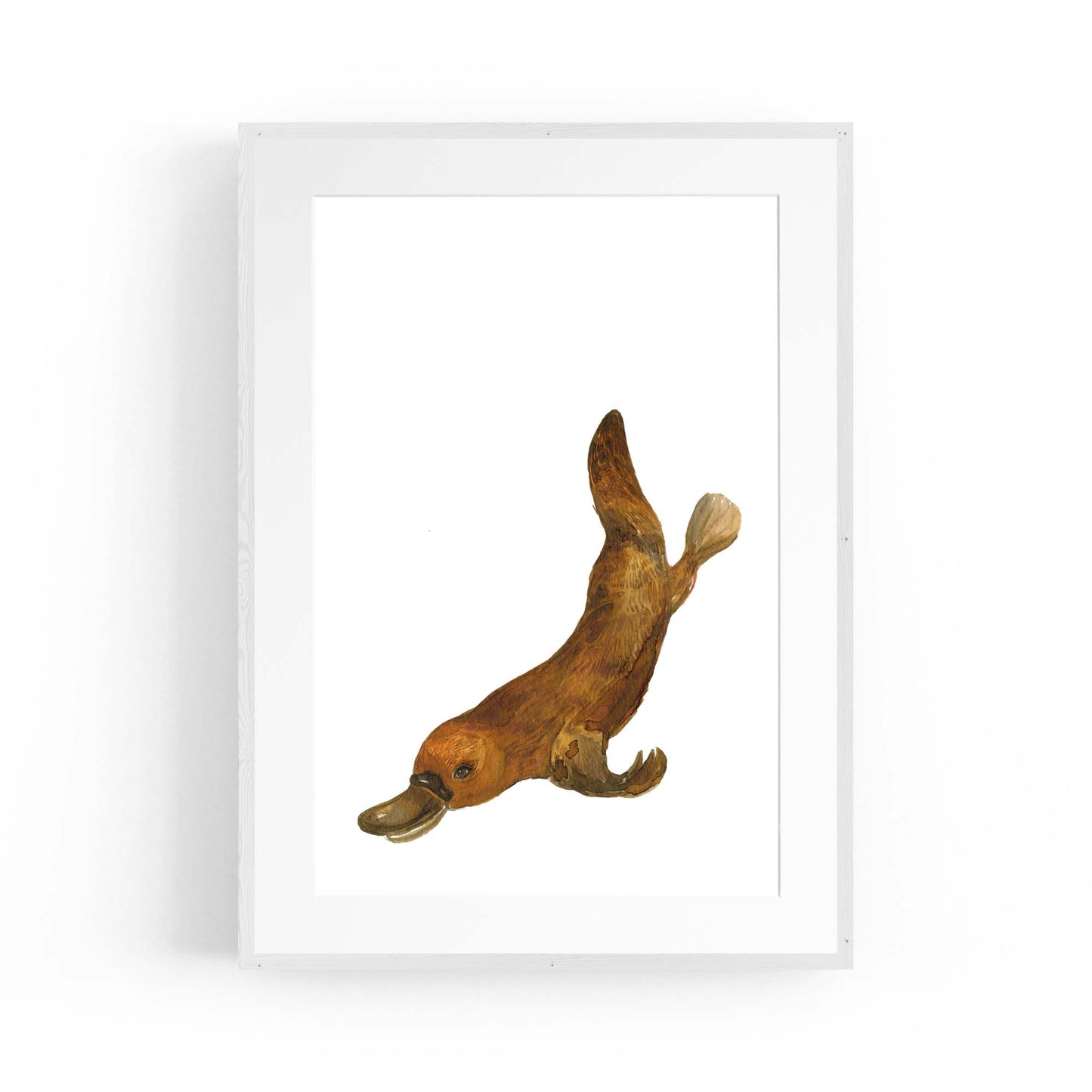 Australian Platypus Painting Animal Nursery Wall Art - The Affordable Art Company
