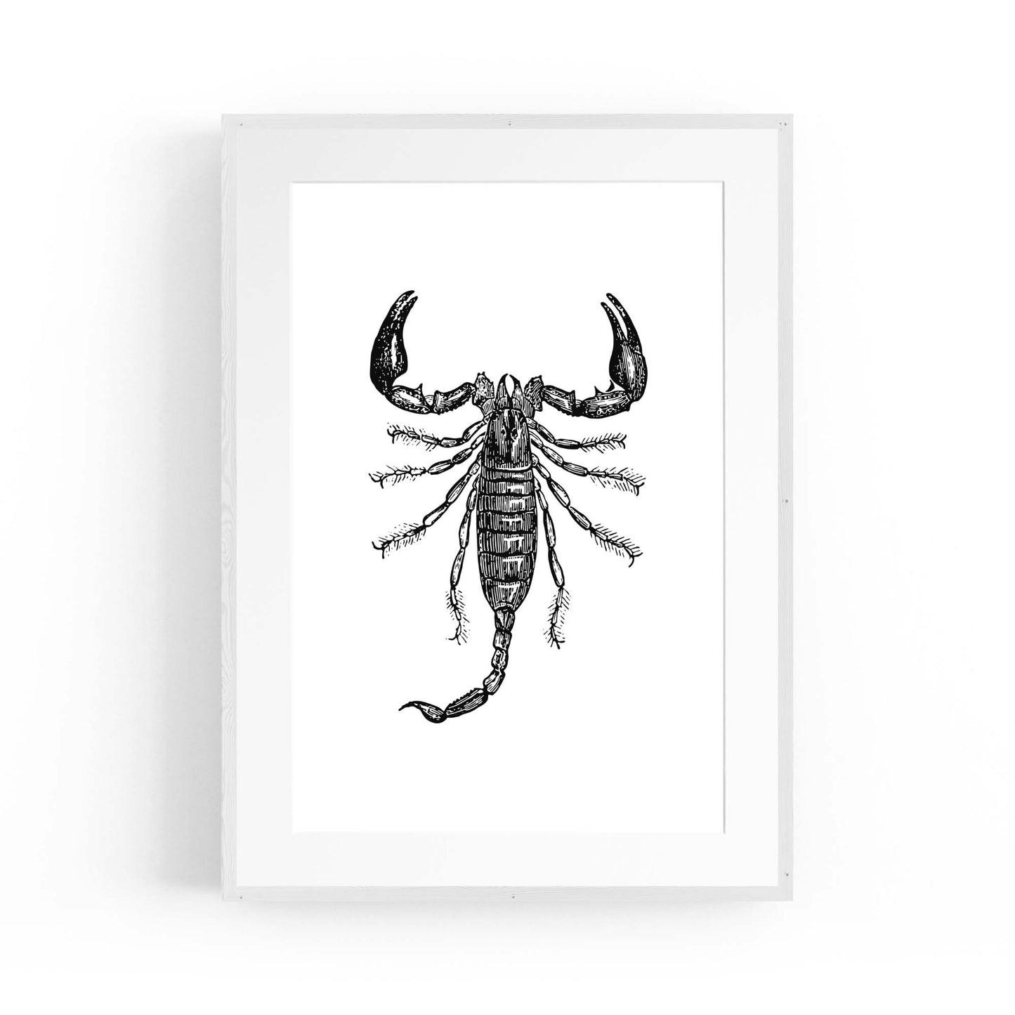 Scorpion Drawing Insect Man Cave Wall Art - The Affordable Art Company