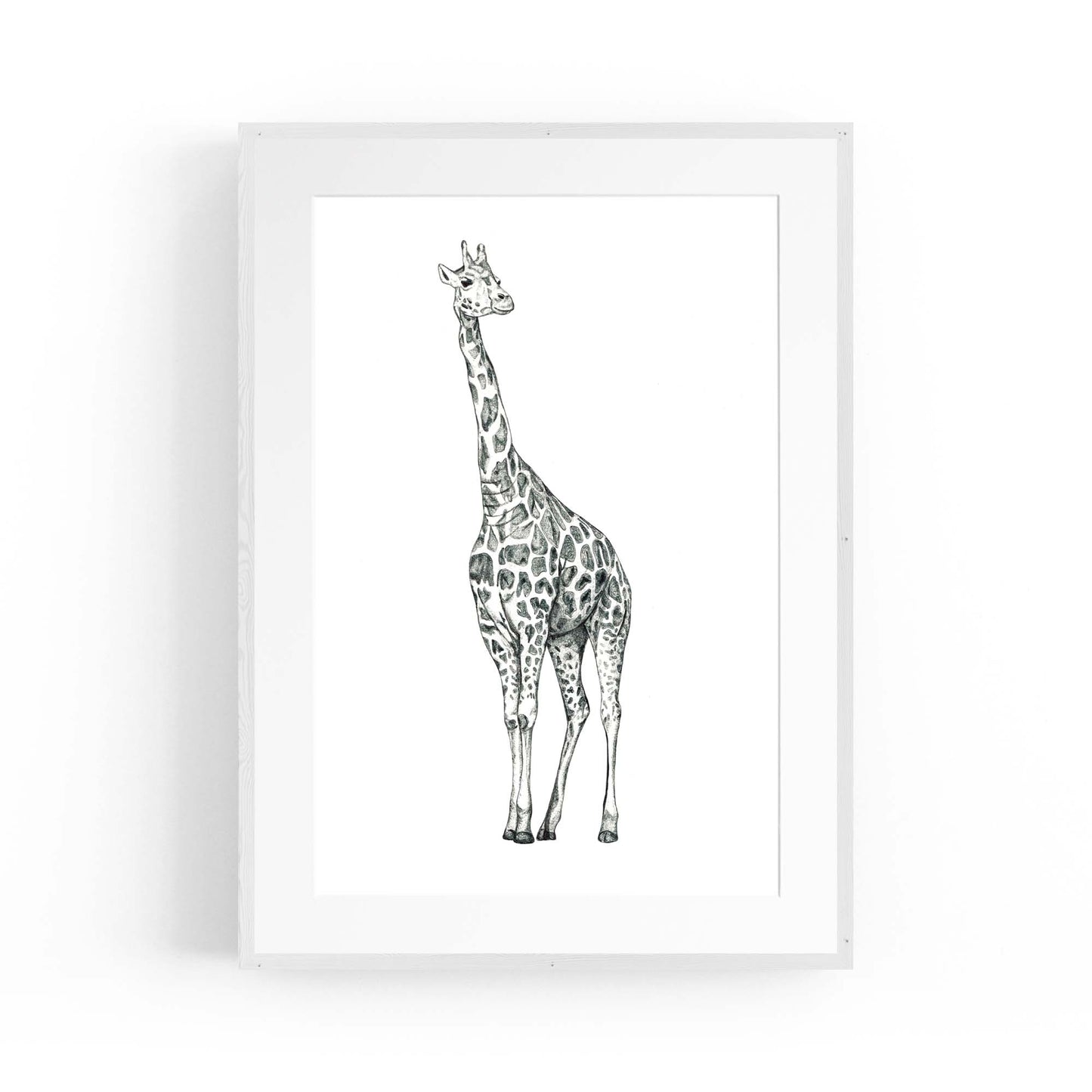 Detailed Giraffe Drawing Safari Animal Wall Art #1 - The Affordable Art Company