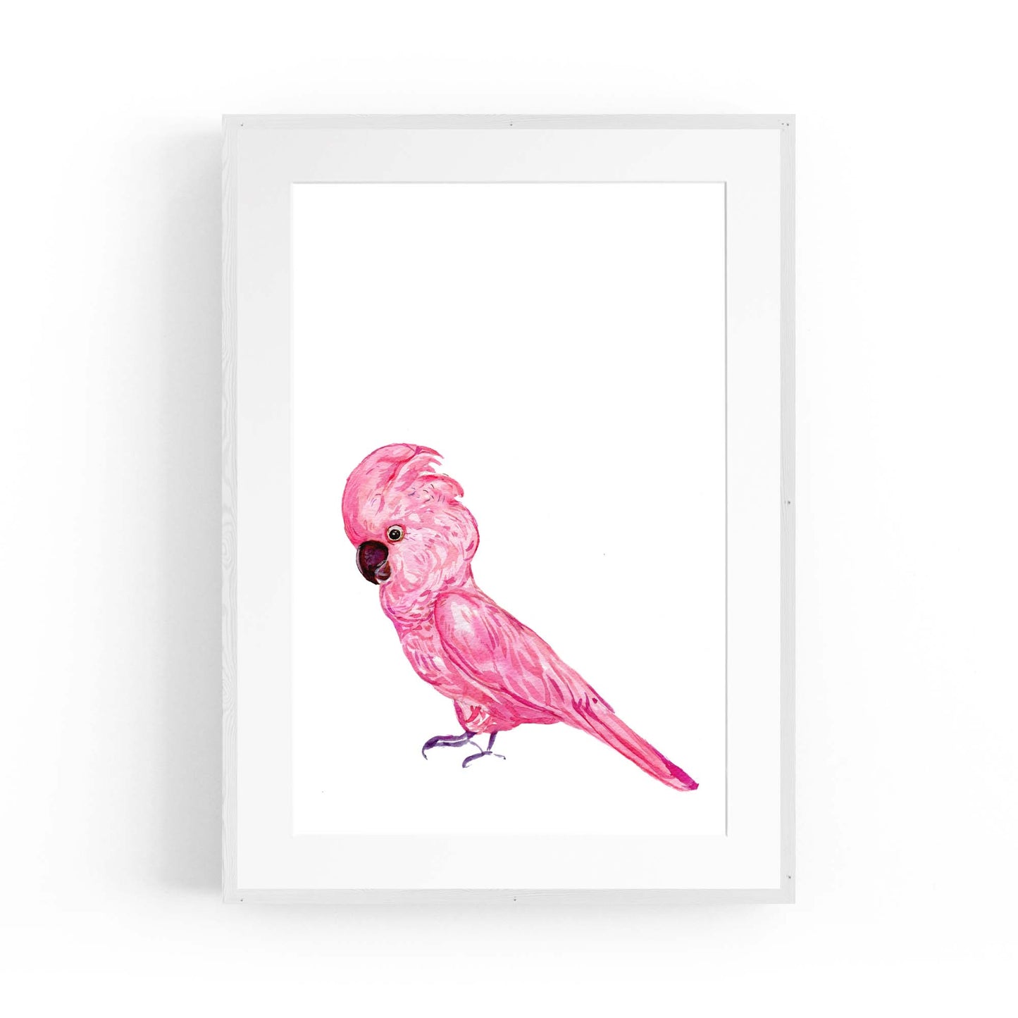 Pink Galah Bird Painting Nursery Australian Wall Art - The Affordable Art Company
