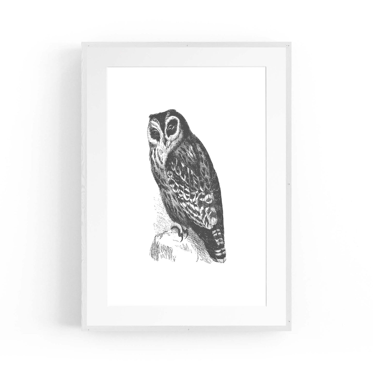 Owl Drawing Portrait Minimal Black Wall Art #4 - The Affordable Art Company