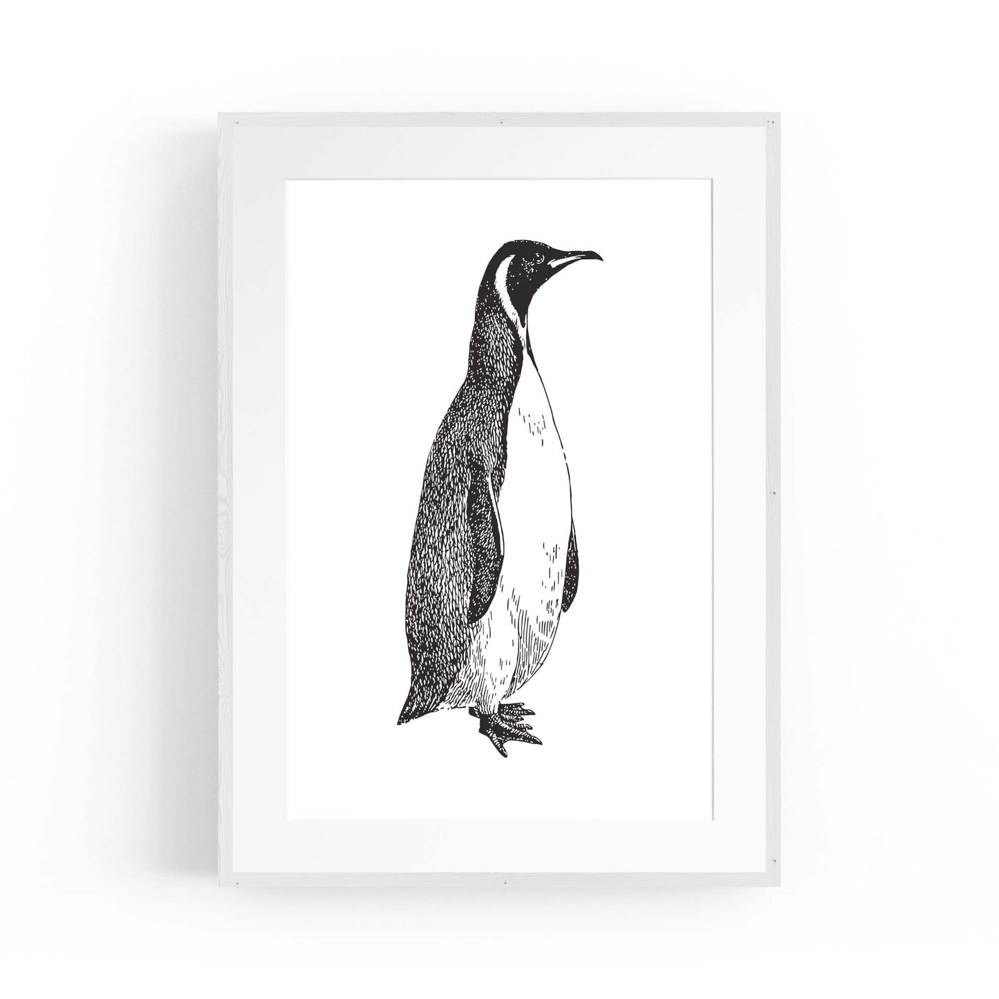 Penguin Drawing Animal Office Library Wall Art #1 - The Affordable Art Company