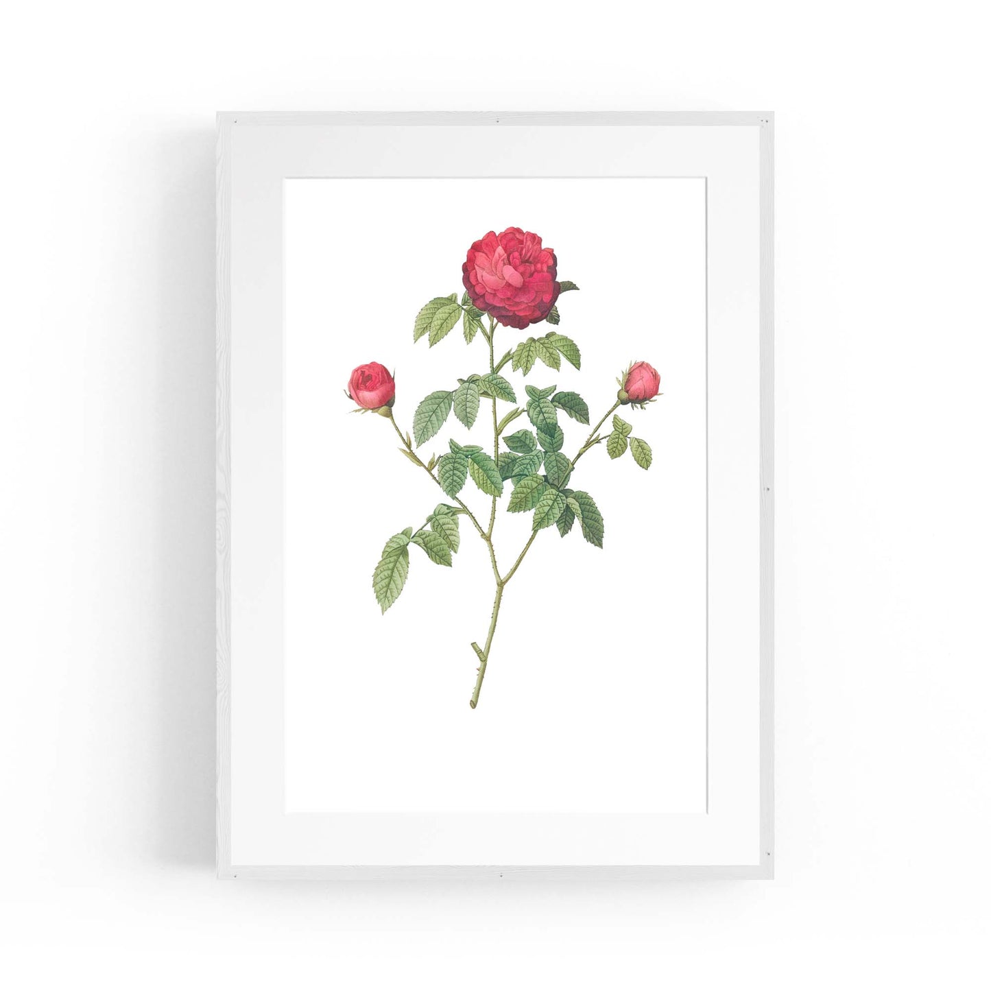 Flower Botanical Painting Kitchen Hallway Wall Art #3 - The Affordable Art Company