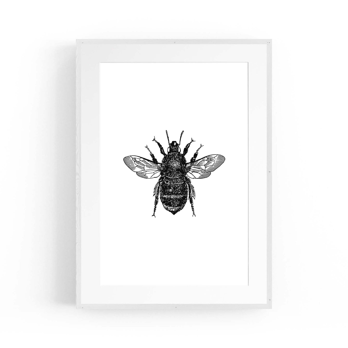 Bumblebee Drawing Insect Minimal Wall Art - The Affordable Art Company