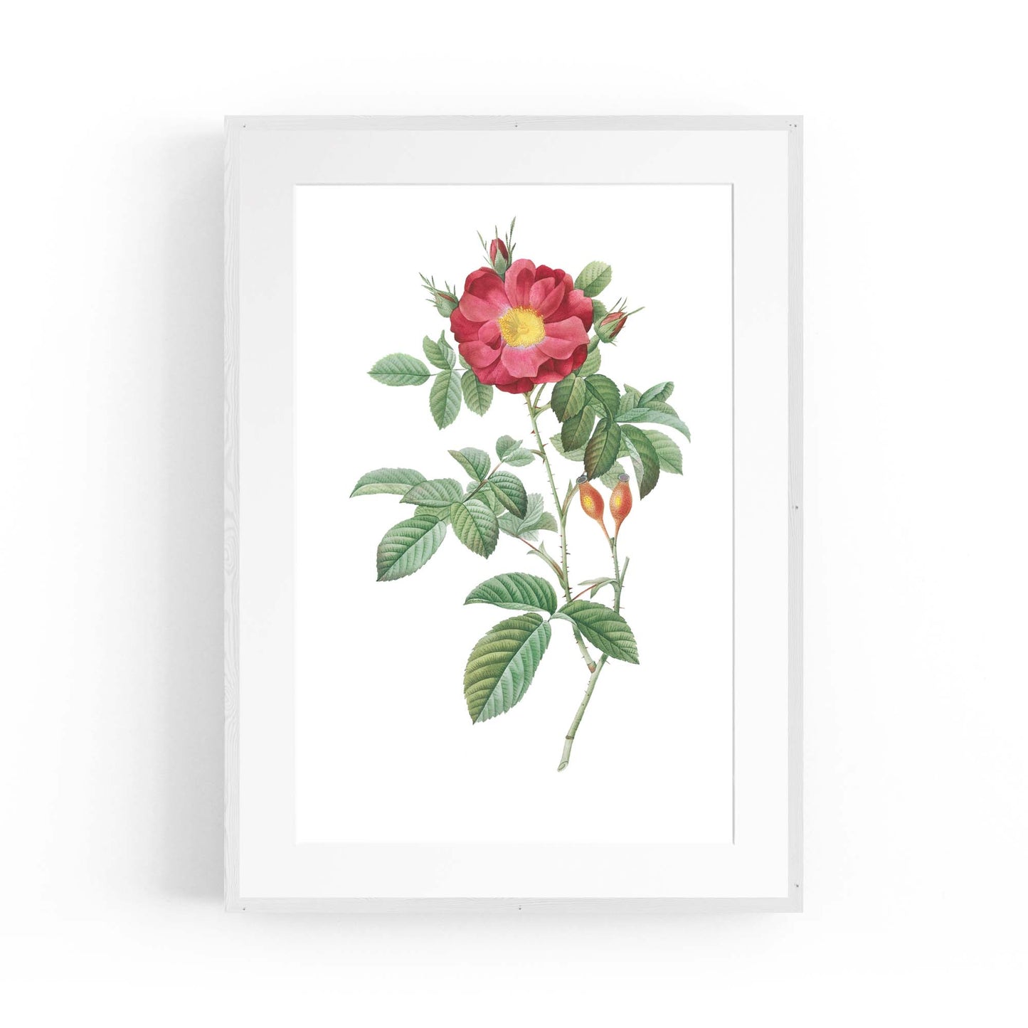 Flower Botanical Painting Kitchen Hallway Wall Art #9 - The Affordable Art Company