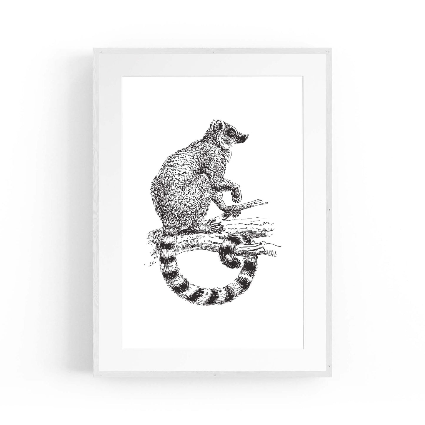 Possum Drawing Animal Wall Art - The Affordable Art Company