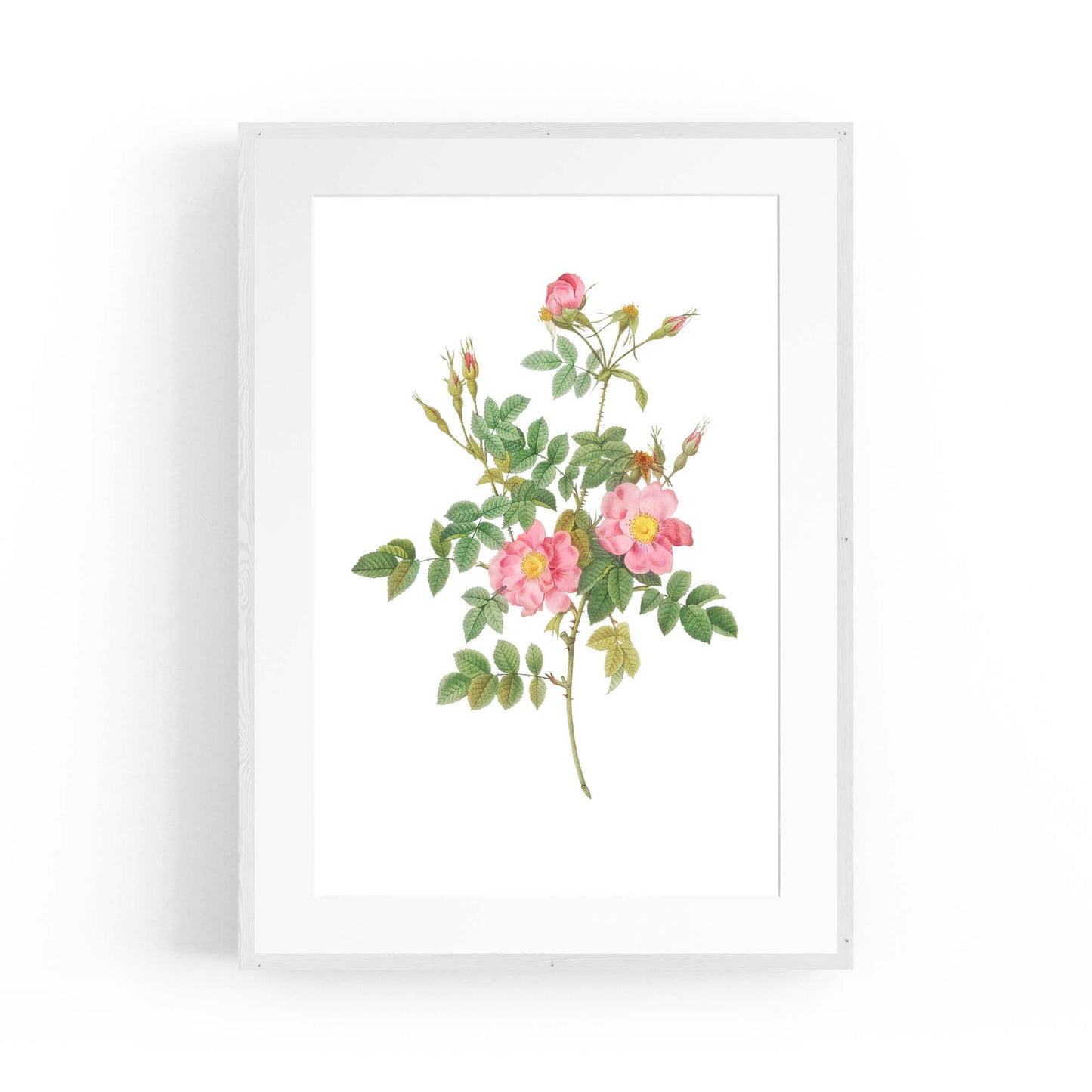 Flower Botanical Painting Kitchen Hallway Wall Art #47 - The Affordable Art Company