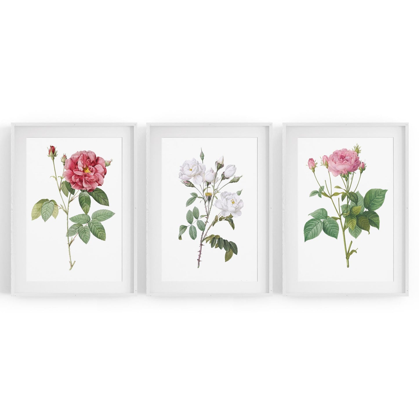 Set of Pink Floral Vintage Botanical Wall Art #4 - The Affordable Art Company