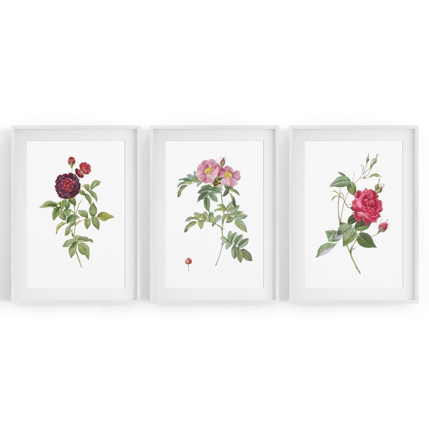 Set of Red & White Flower Botanical Wall Art - The Affordable Art Company