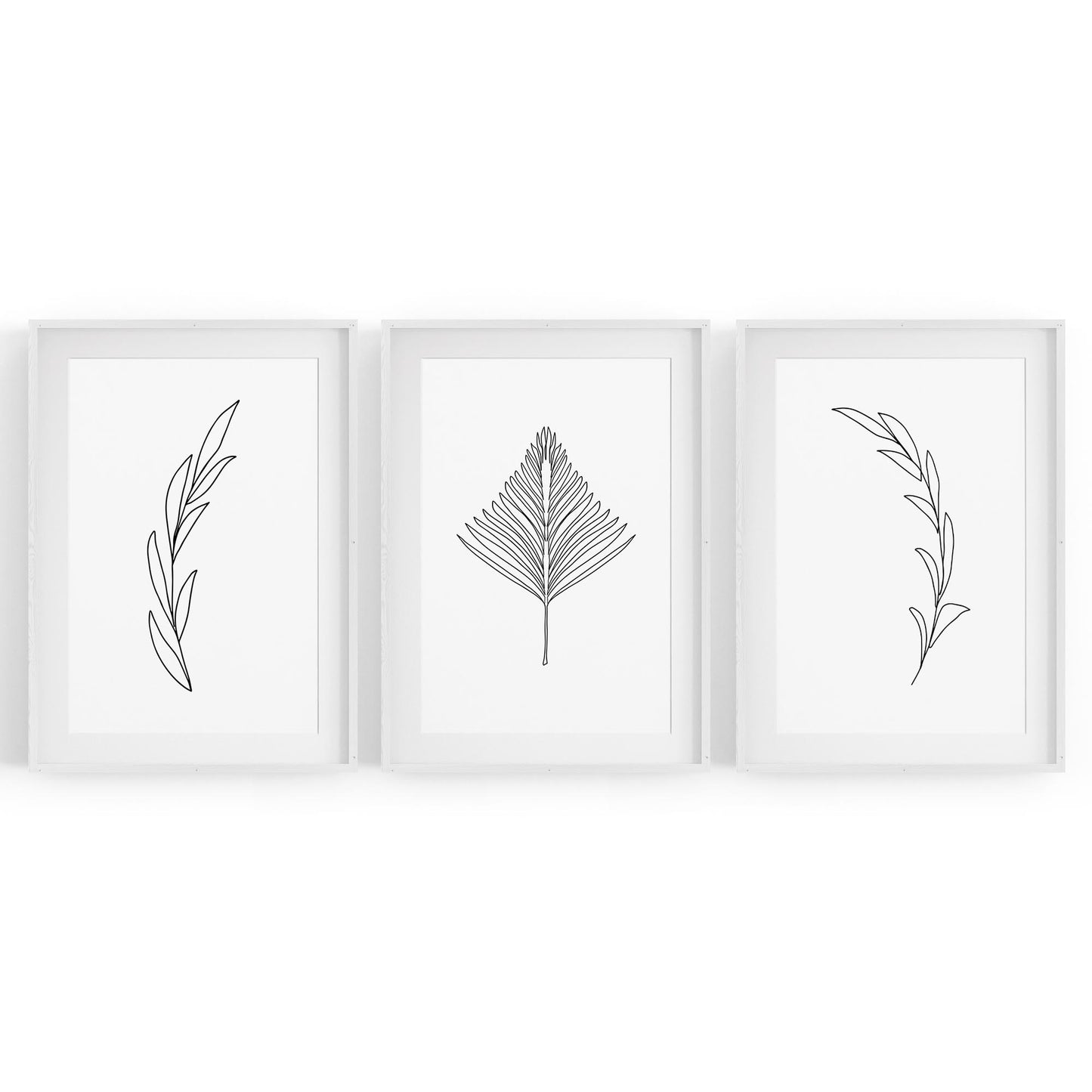 Set of Minimal Plant Line Drawings Wall Art #1 - The Affordable Art Company