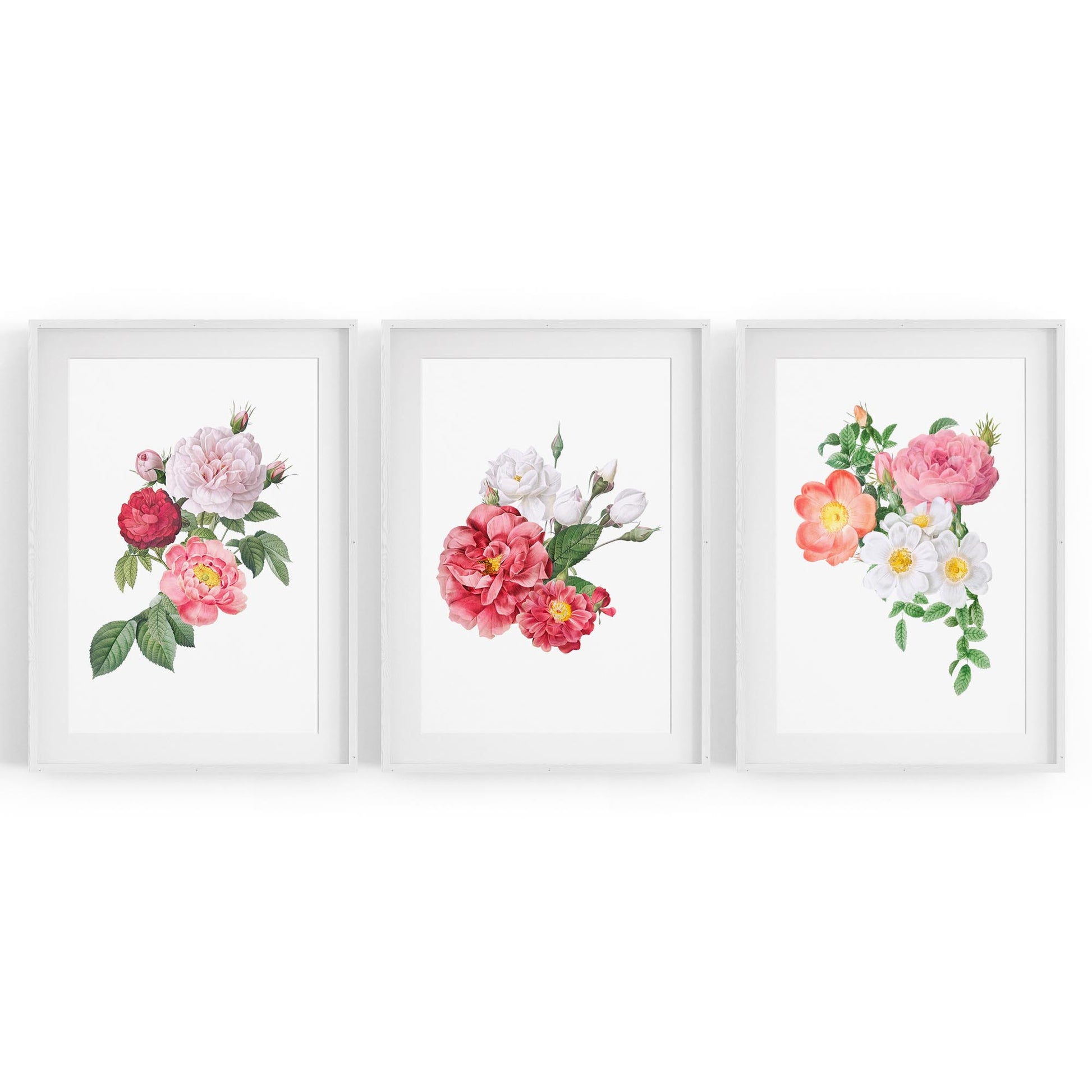Set of Floral Botanical Flower Kitchen Wall Art - The Affordable Art Company