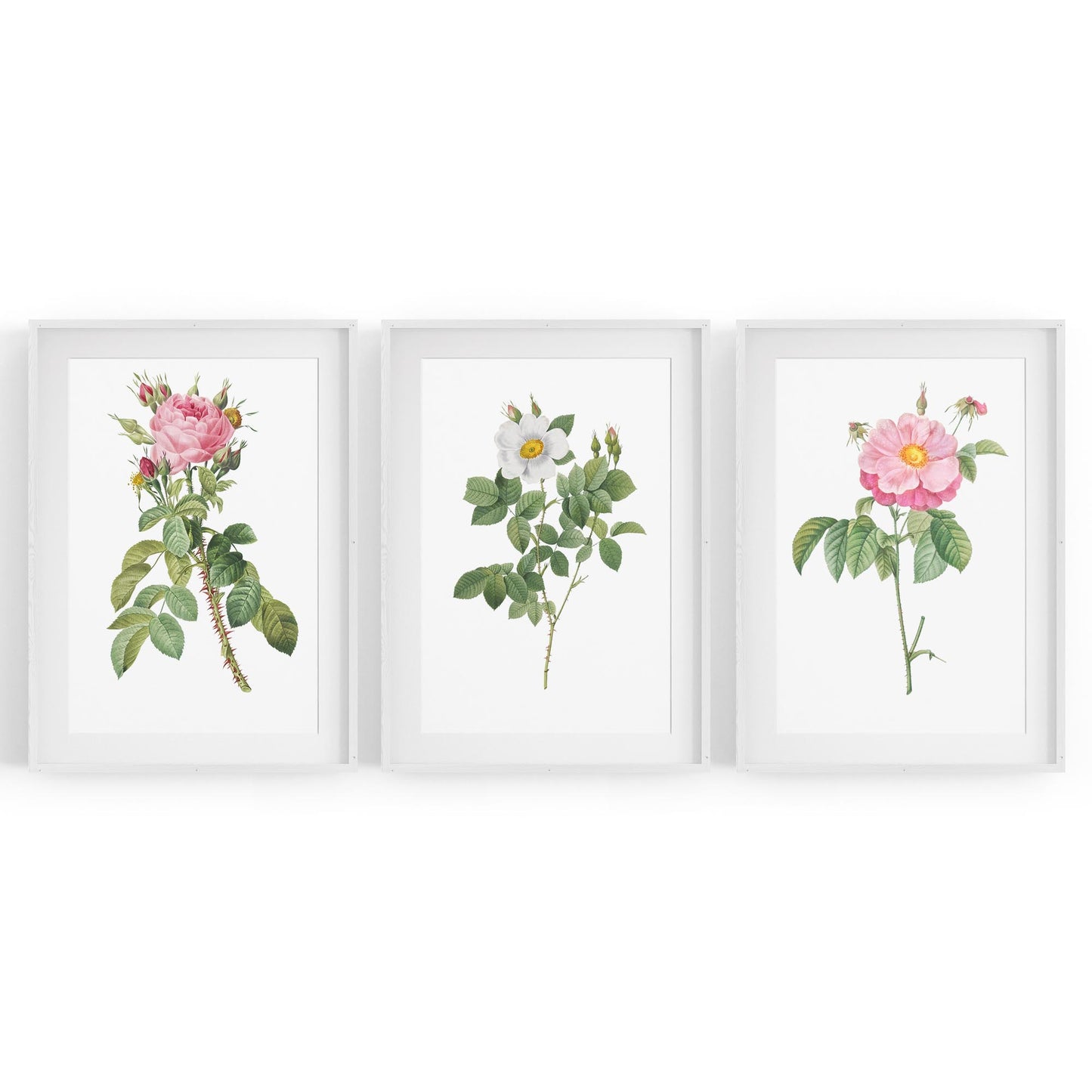 Set of Pink Floral Vintage Botanical Wall Art #2 - The Affordable Art Company