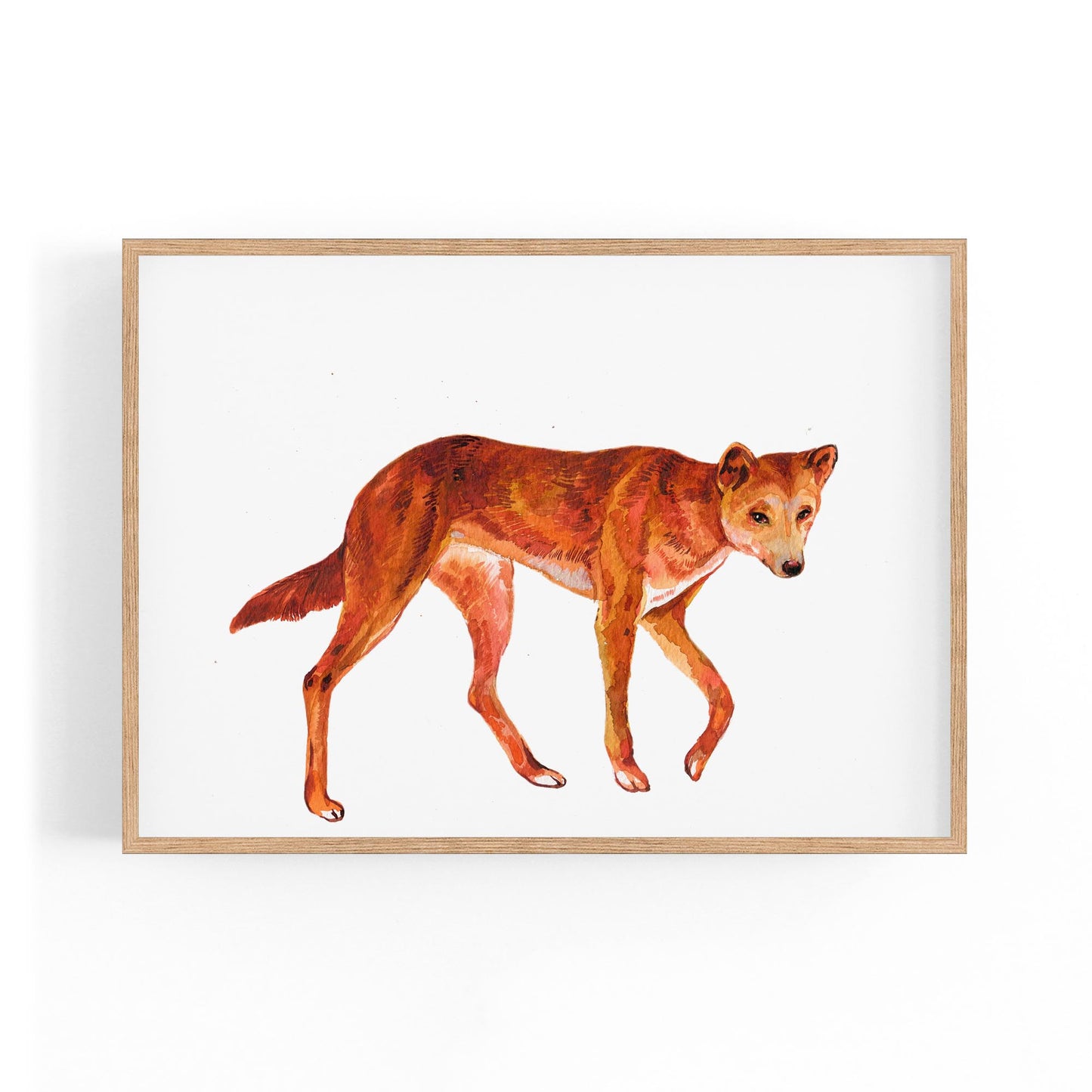 Australian Dingo Painting Animal Nursery Wall Art - The Affordable Art Company