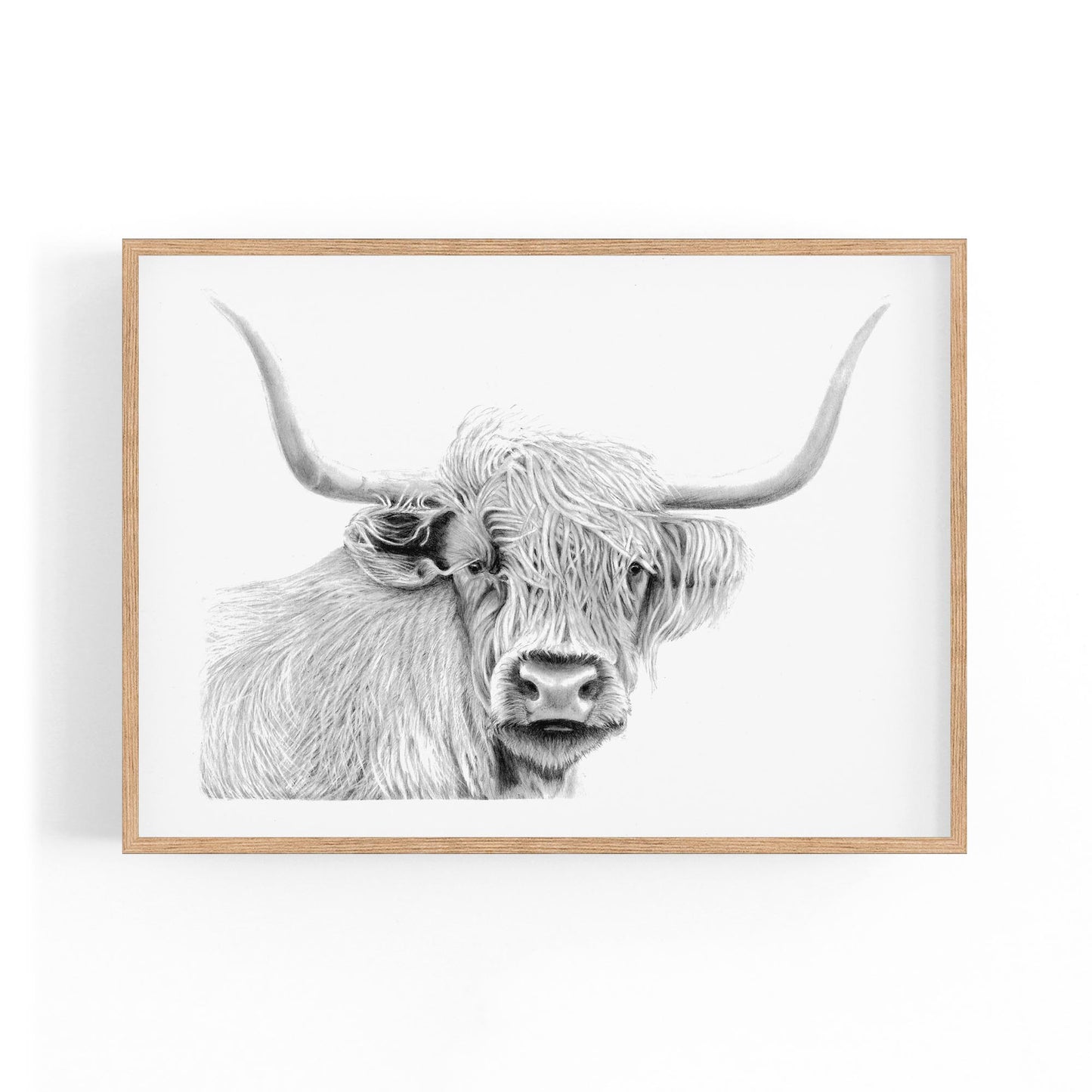 Highland Cow Detailed Drawing Minimal Wall Art - The Affordable Art Company