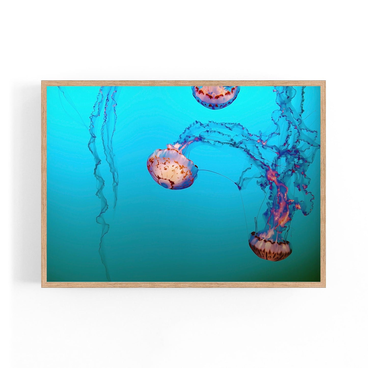 Deep Blue Jellyfish Neon Photograph Wall Art - The Affordable Art Company