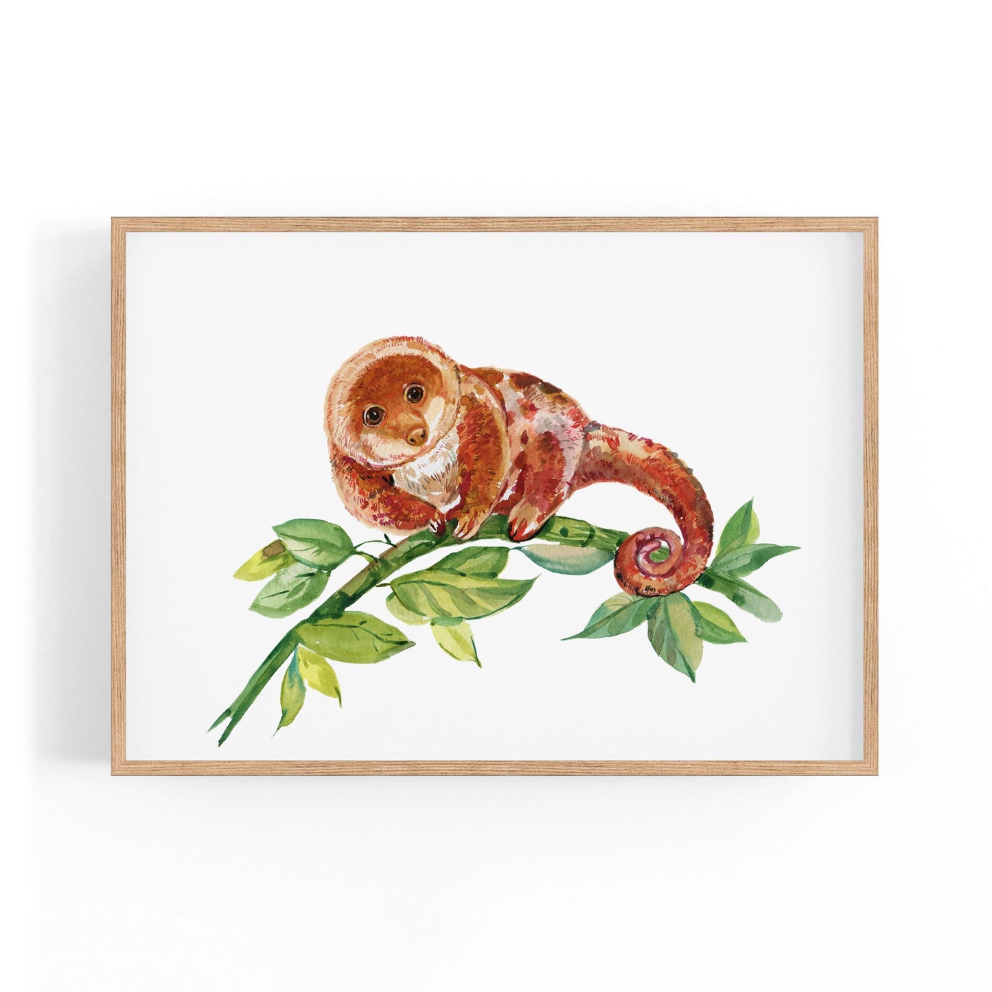 Australian Tree Kangaroo Painting Animal Wall Art - The Affordable Art Company