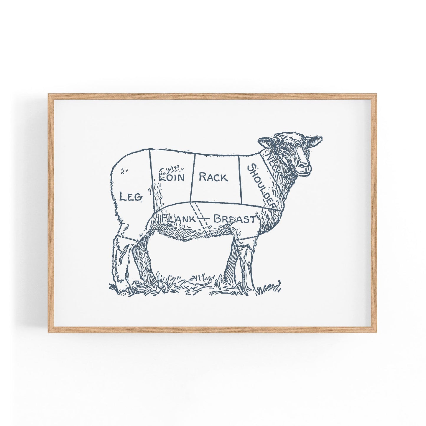 Butcher Shop Lamb Drawing Meat Wall Art - The Affordable Art Company