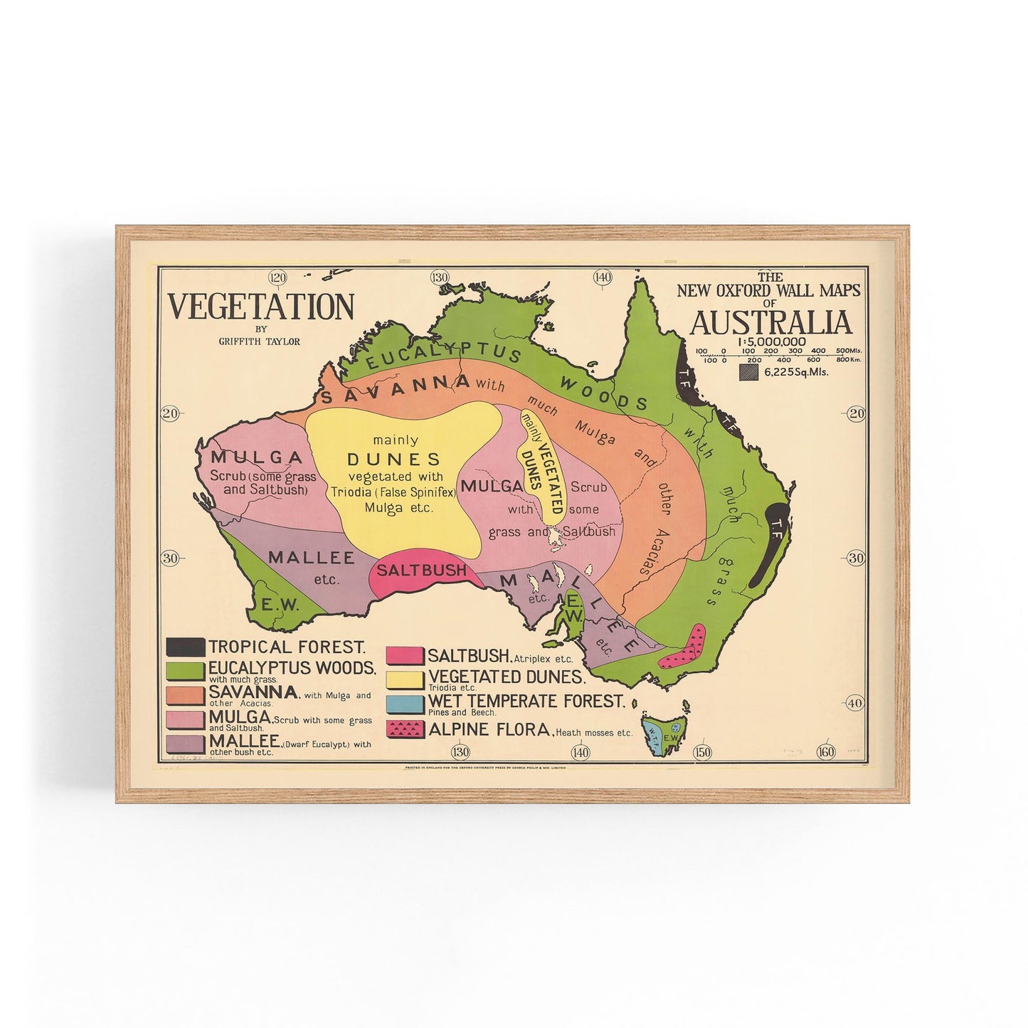 Australian Vegetation Vintage Map Wall Art - The Affordable Art Company