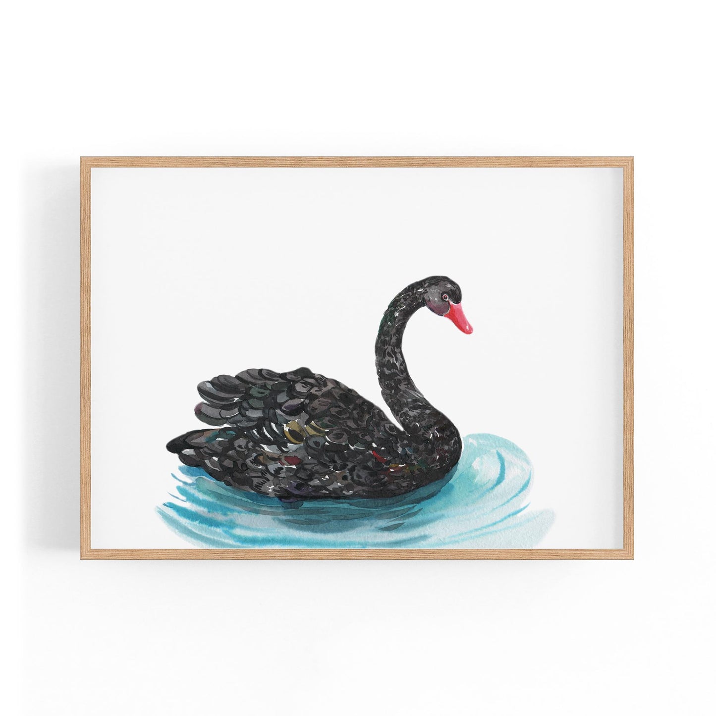 Black Swan Australian Animal Nursery Wall Art - The Affordable Art Company