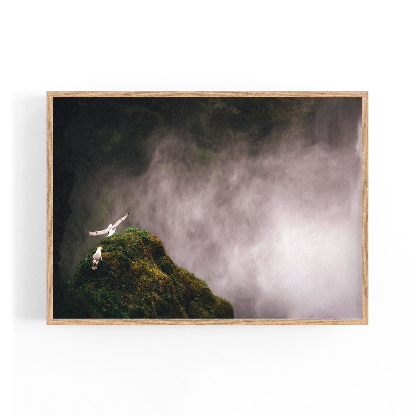 Wild Birds and Waterfall Photograph Wall Art - The Affordable Art Company