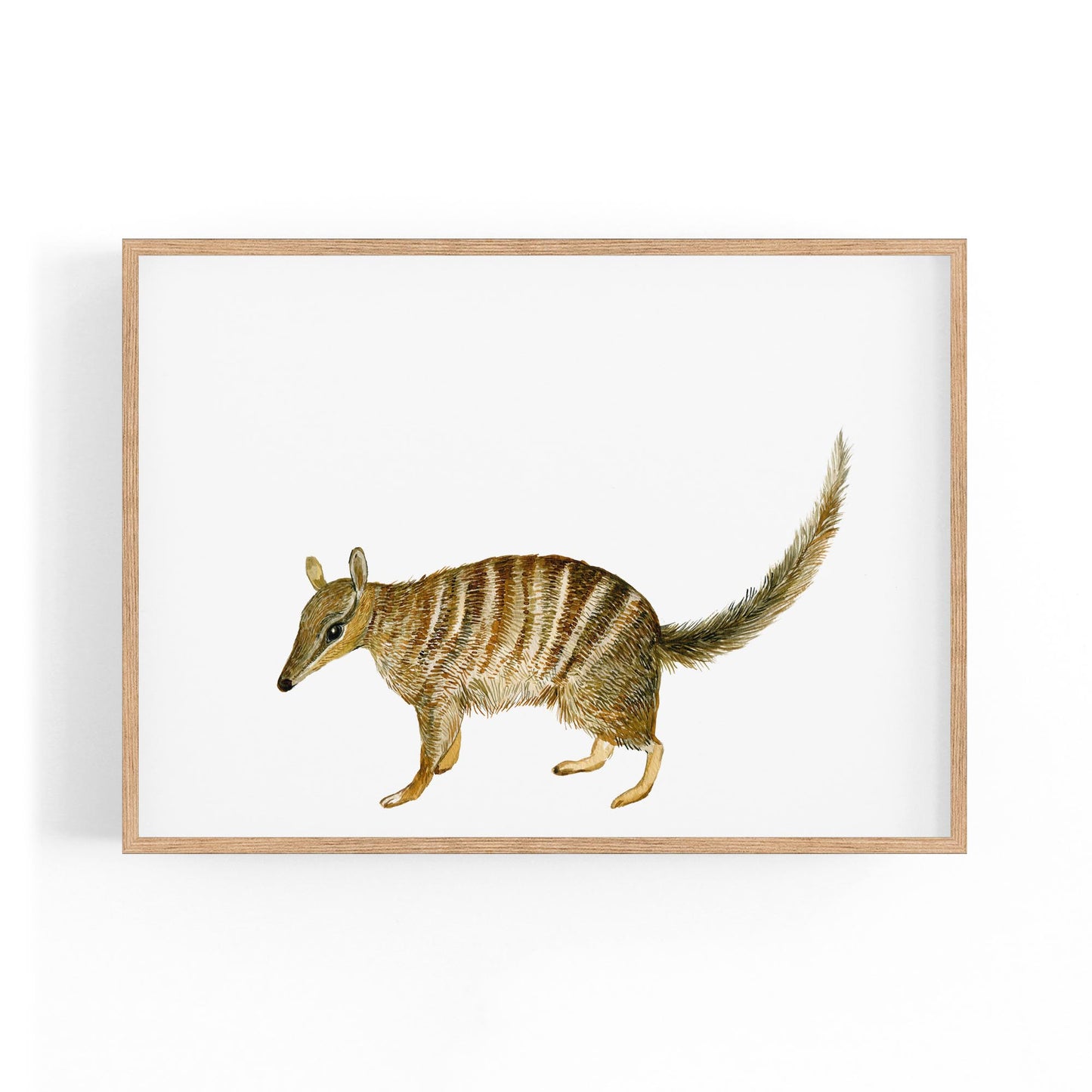 Australian Anteater Painting Animal Nursery Art - The Affordable Art Company