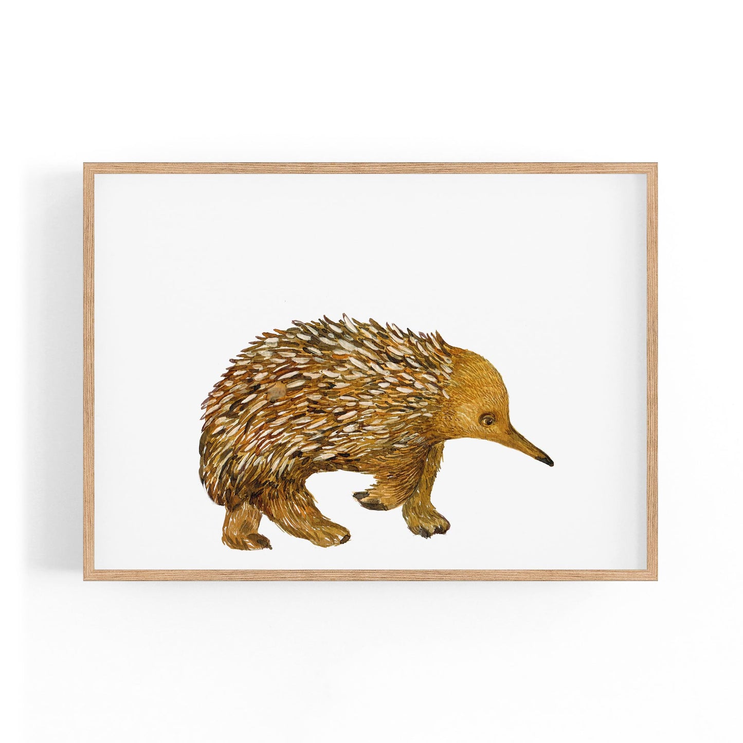 Australian Echidna Painting Animal Nursery Wall Art - The Affordable Art Company