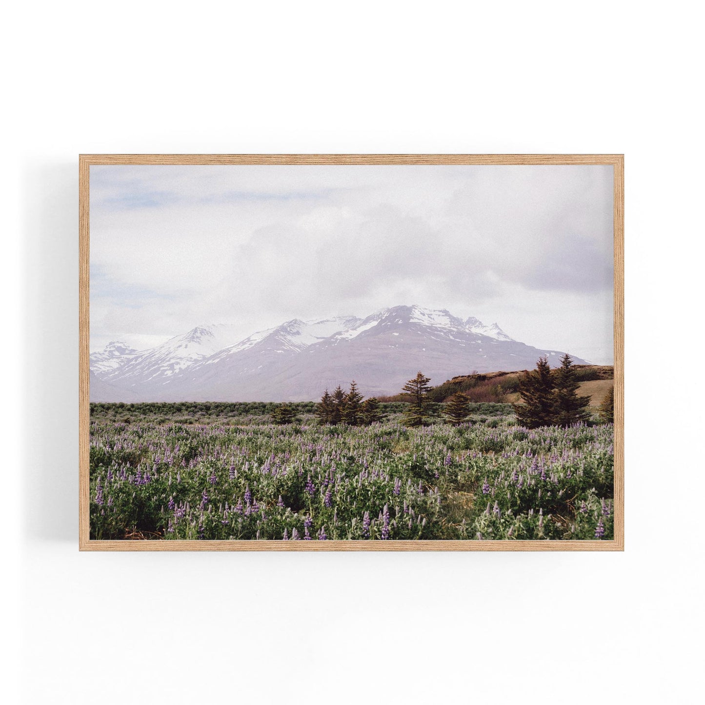 Calm Winter Landscape Photograph Wall Art - The Affordable Art Company