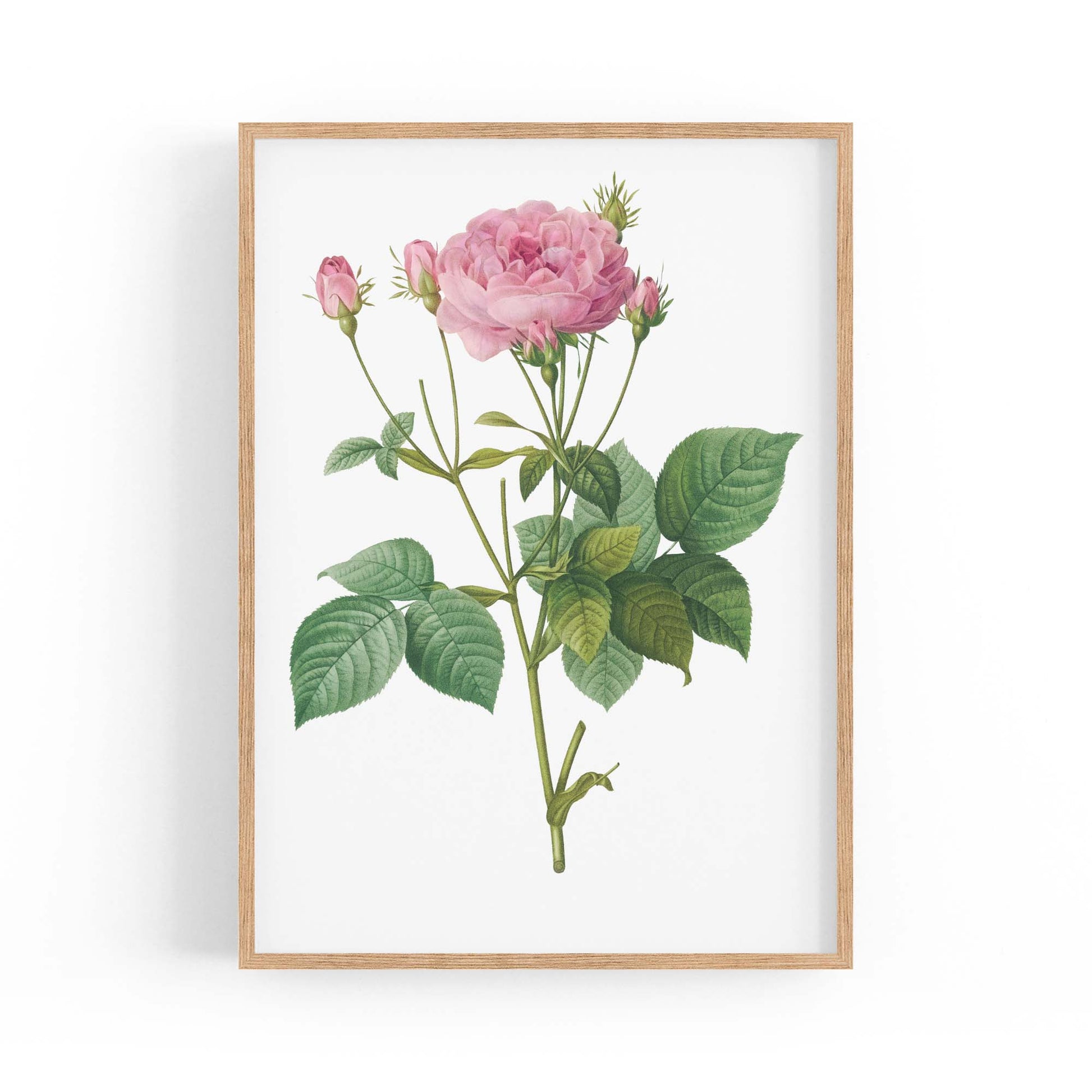 Flower Botanical Painting Kitchen Hallway Wall Art #18 - The Affordable Art Company