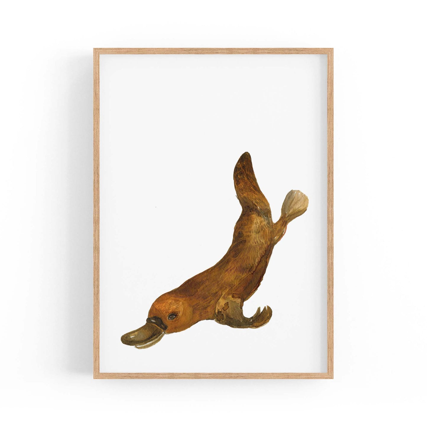Australian Platypus Painting Animal Nursery Wall Art - The Affordable Art Company