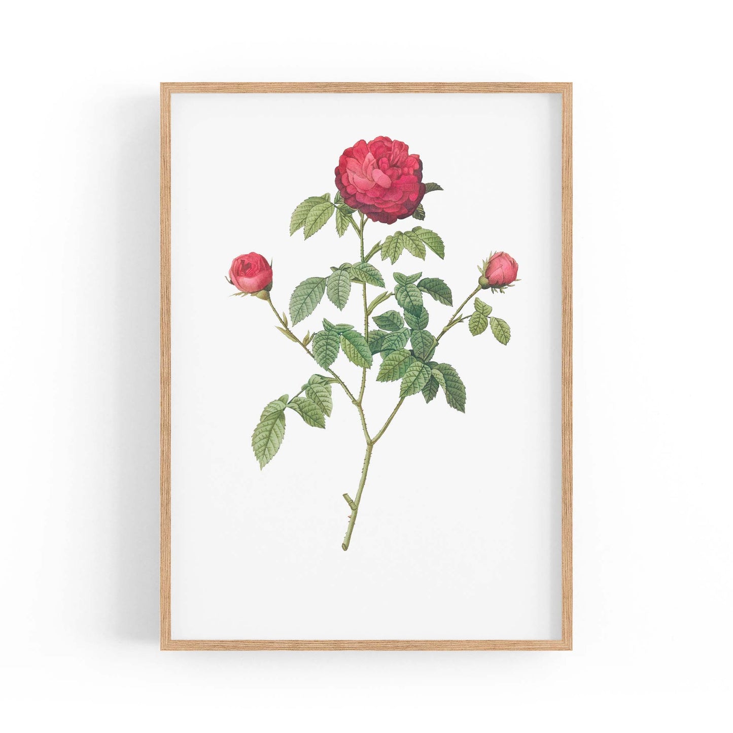 Flower Botanical Painting Kitchen Hallway Wall Art #3 - The Affordable Art Company