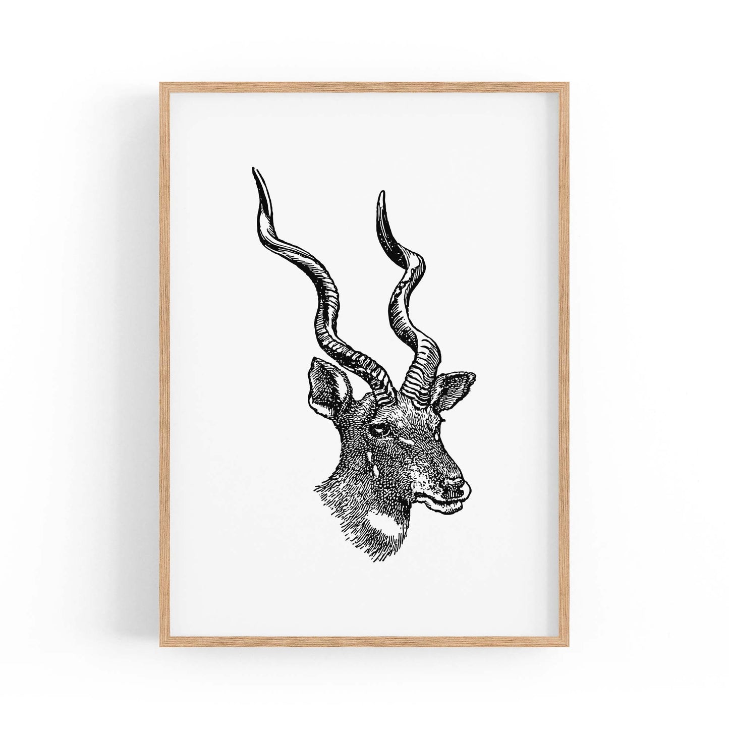 Kudu Detailed Drawing African Safari Wall Art - The Affordable Art Company