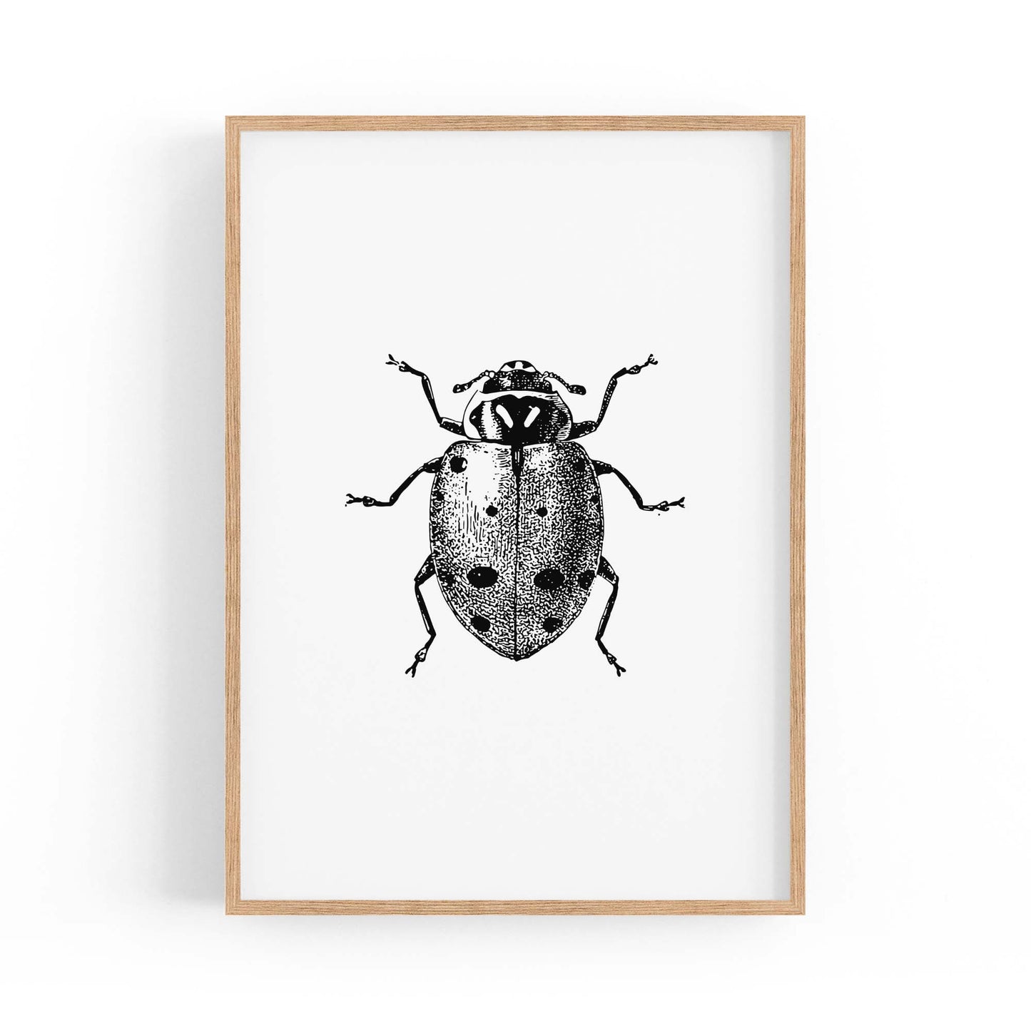 Ladybird Detailed Drawing Insect Office Wall Art - The Affordable Art Company