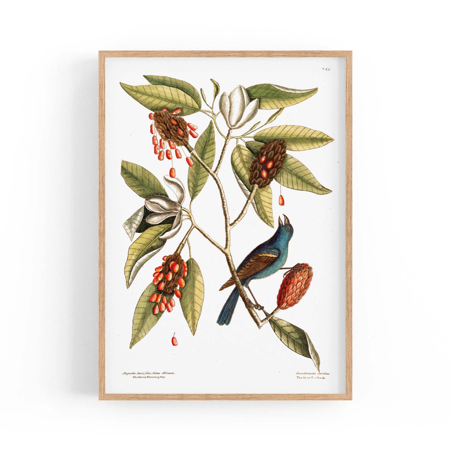 Sweet Bay Flower Botanical Kitchen Wall Art - The Affordable Art Company