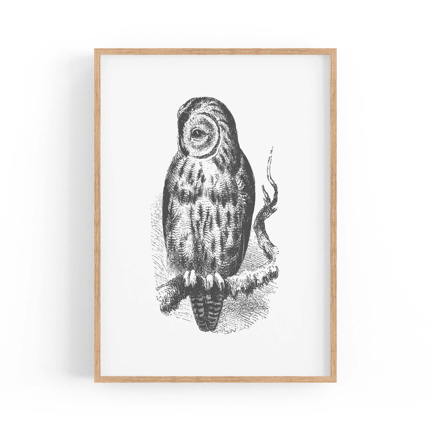 Owl Drawing Portrait Minimal Black Wall Art #3 - The Affordable Art Company