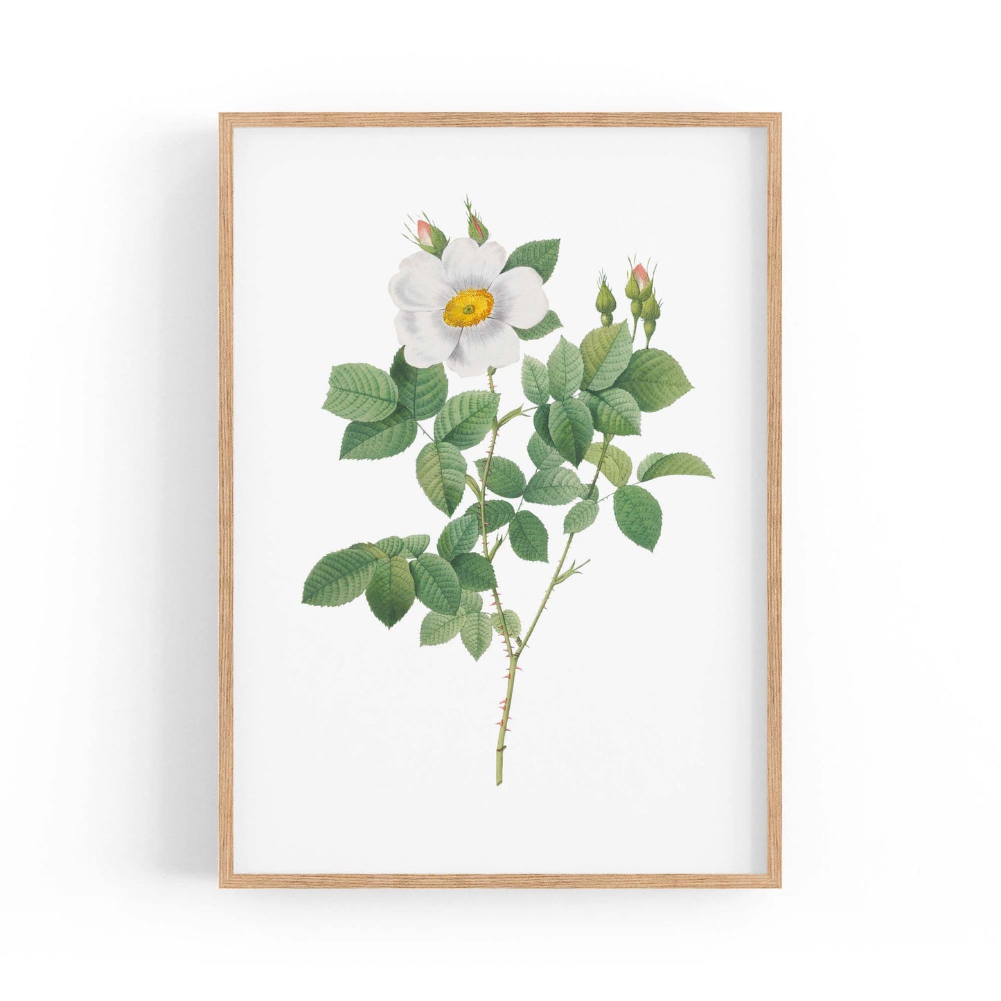 Flower Botanical Painting Kitchen Hallway Wall Art #4 - The Affordable Art Company