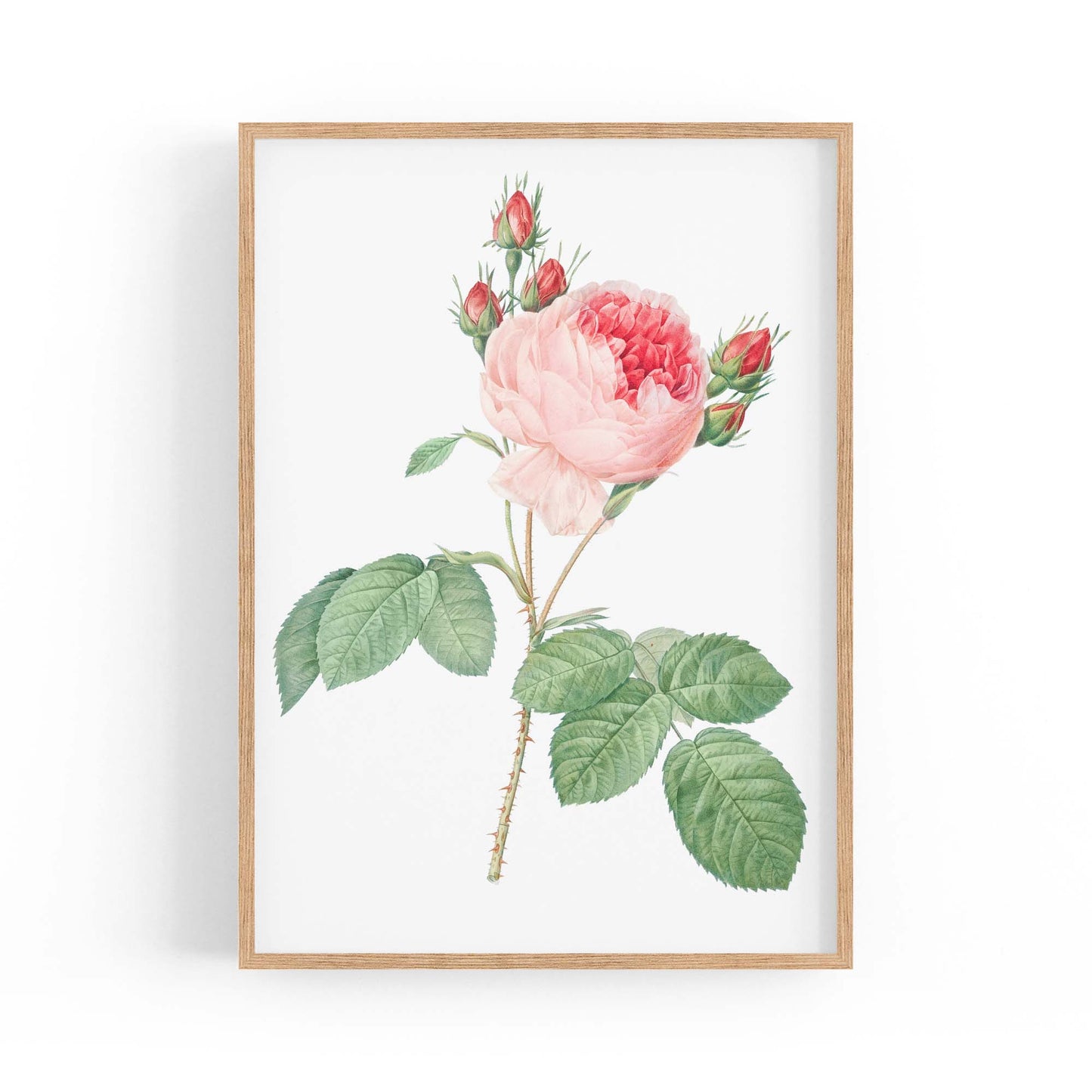 Flower Botanical Painting Kitchen Hallway Wall Art #36 - The Affordable Art Company