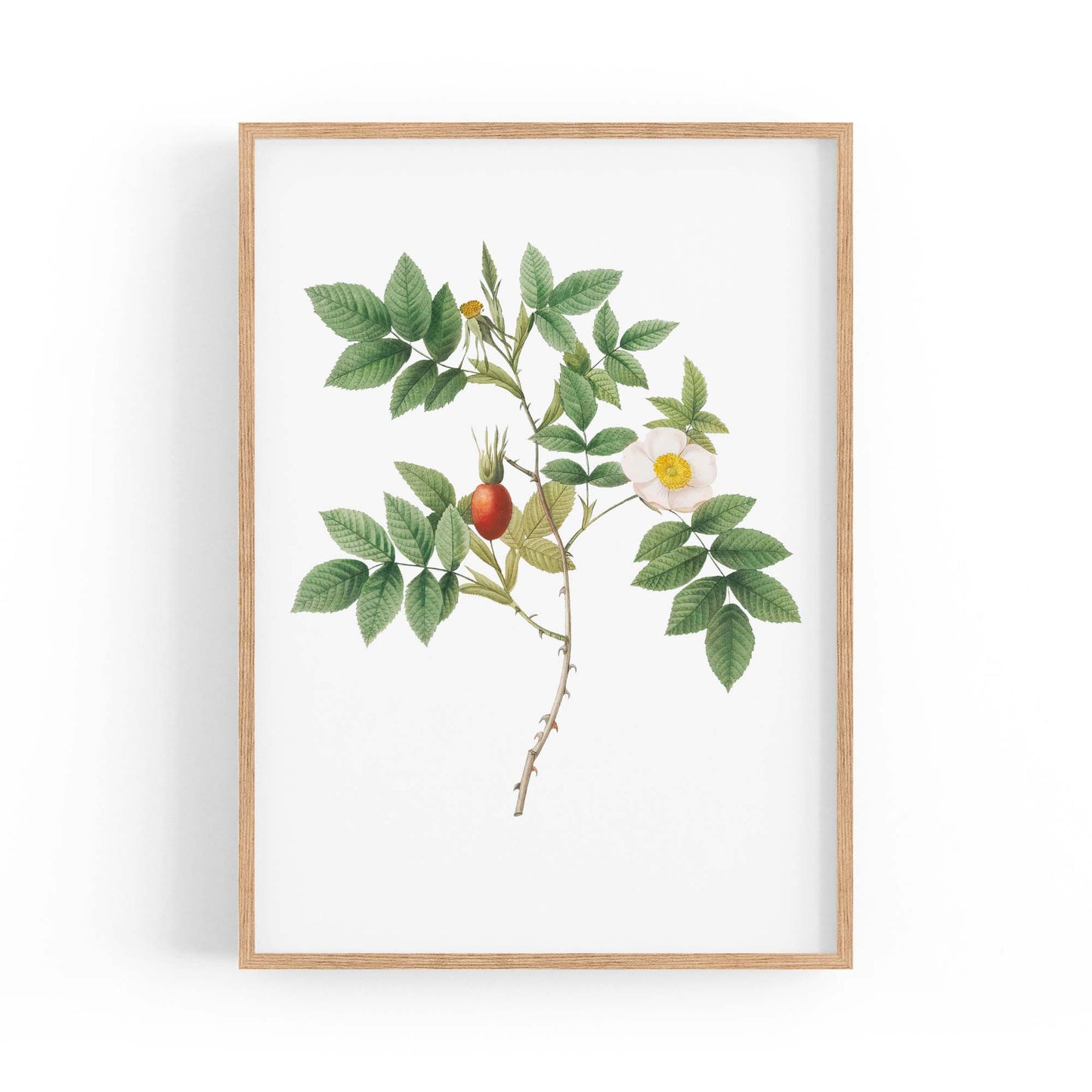 Flower Botanical Painting Kitchen Hallway Wall Art #46 - The Affordable Art Company